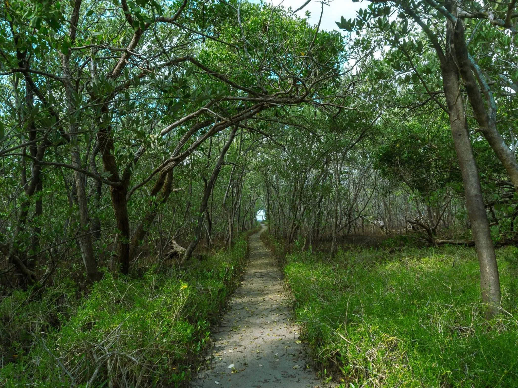 Hiking in Sol Caribe