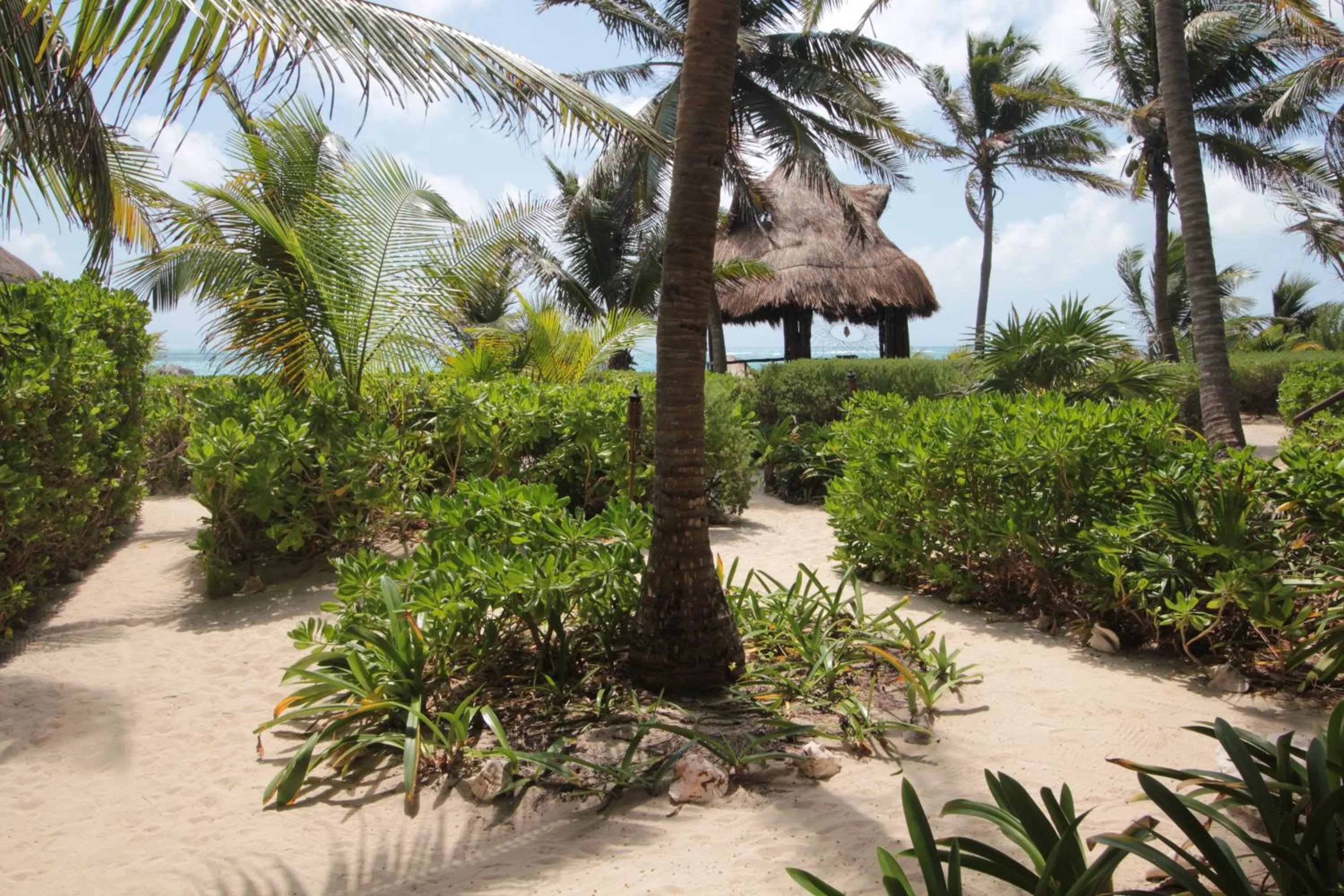 Garden in Sol Caribe