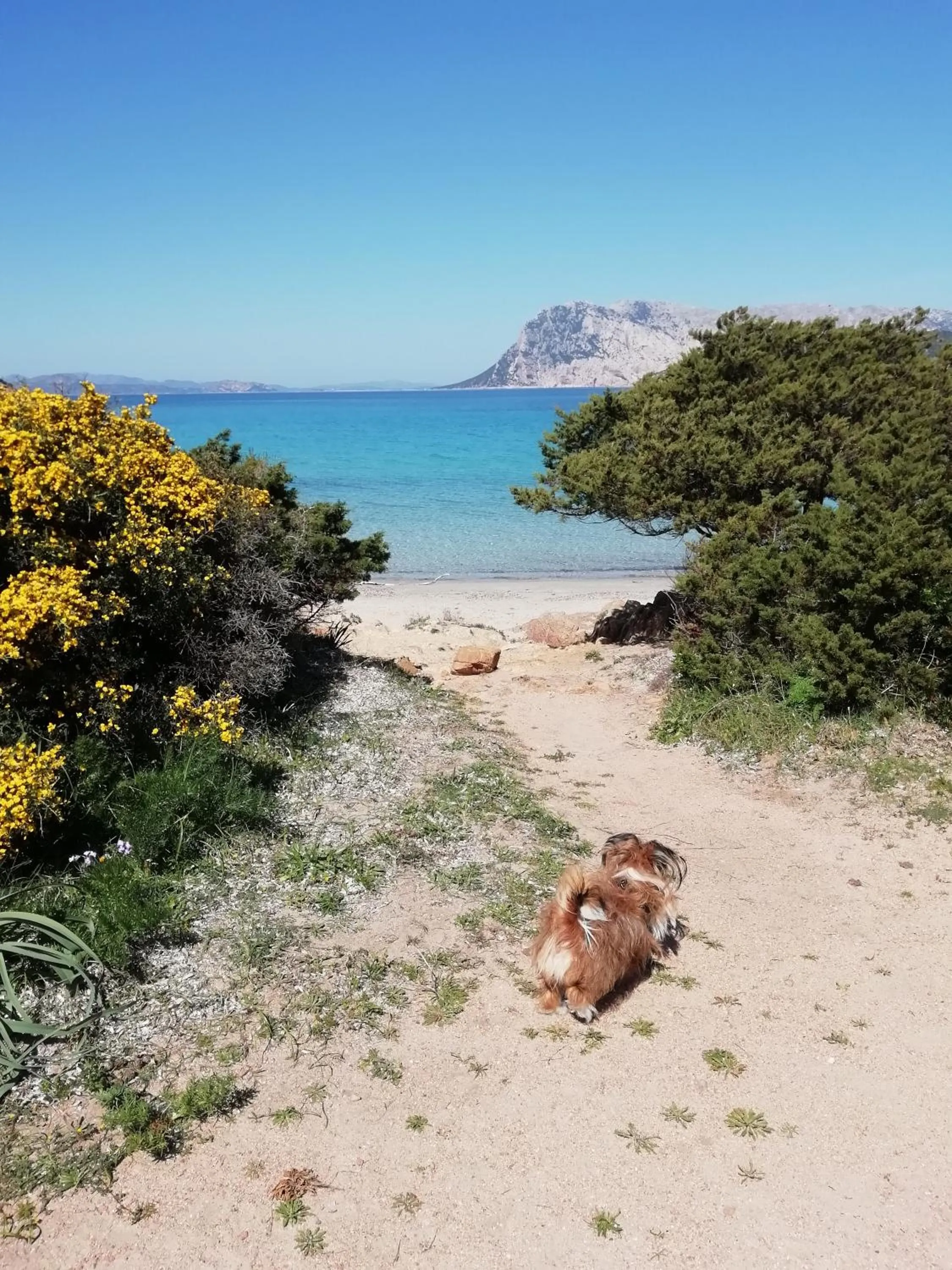 Beach in Frina di Mari b&b