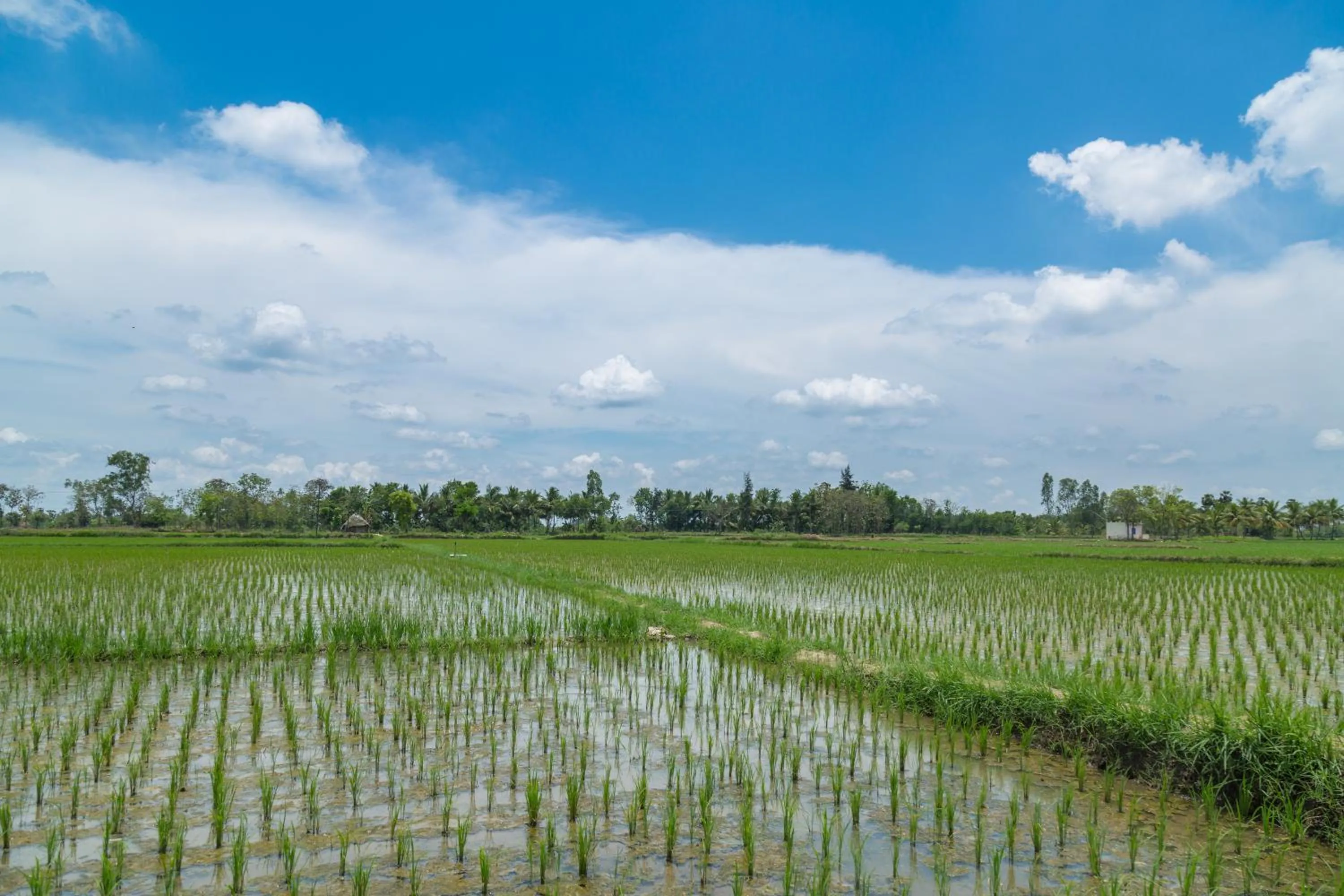Natural landscape in Mantra Koodam Kumbakonam - A CGH Earth Experience