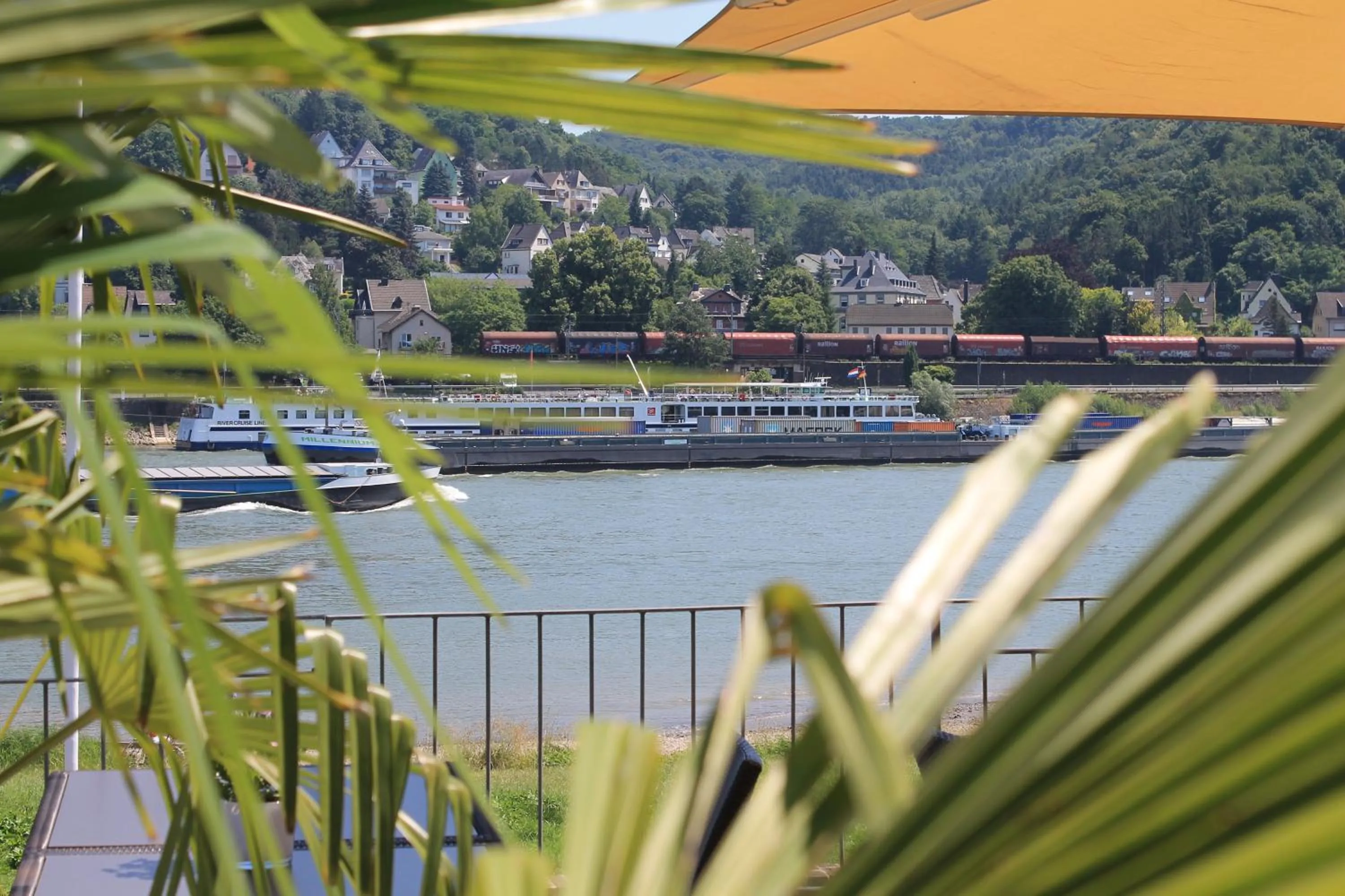 View (from property/room) in RheinHotel ARTE