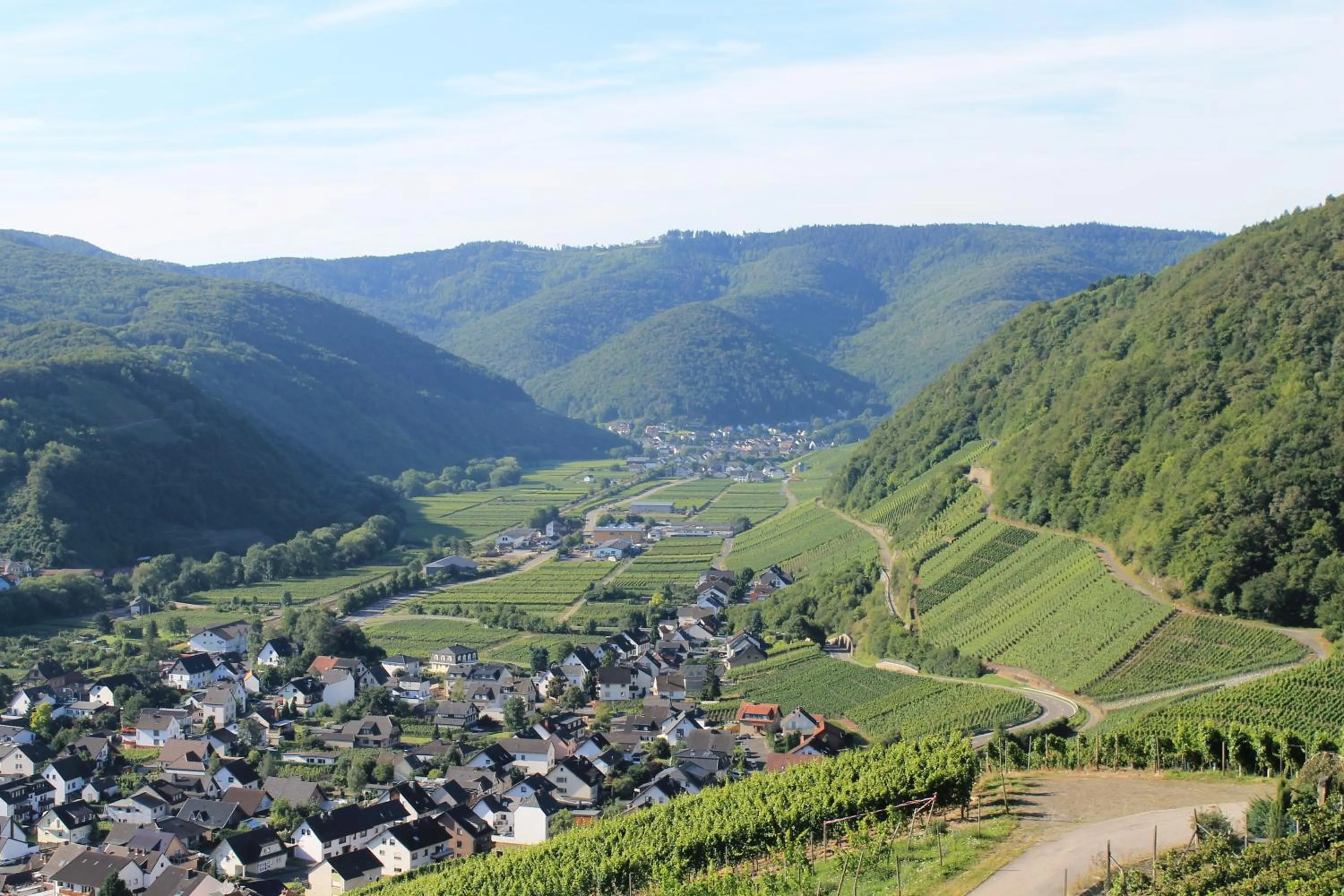 View (from property/room) in RheinHotel ARTE