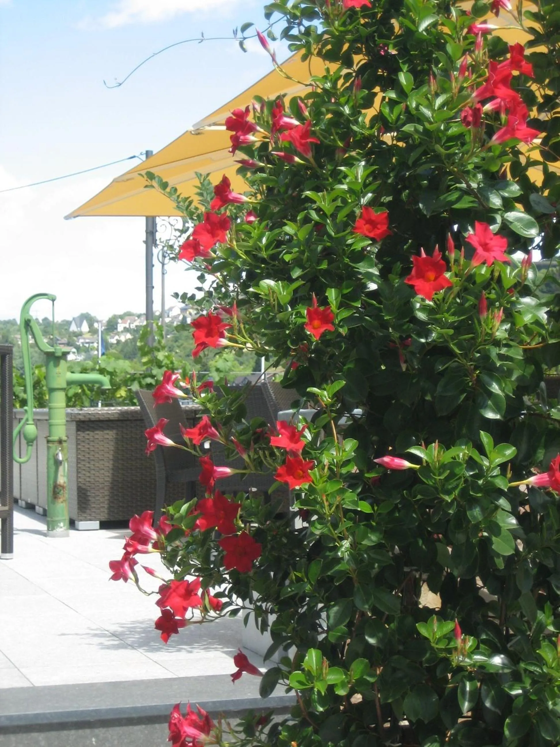 Balcony/Terrace in RheinHotel ARTE