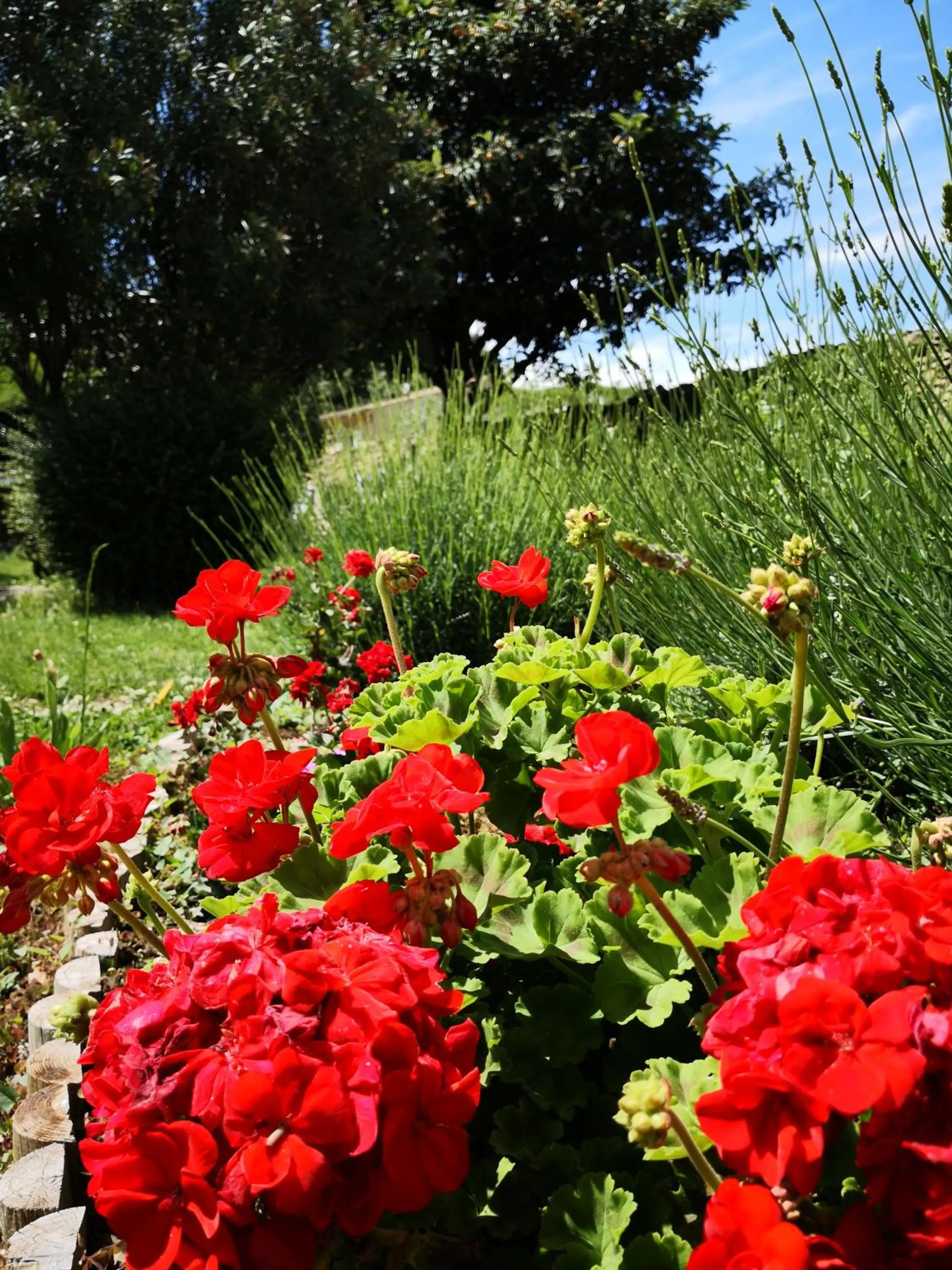 La petite maison de Lingling