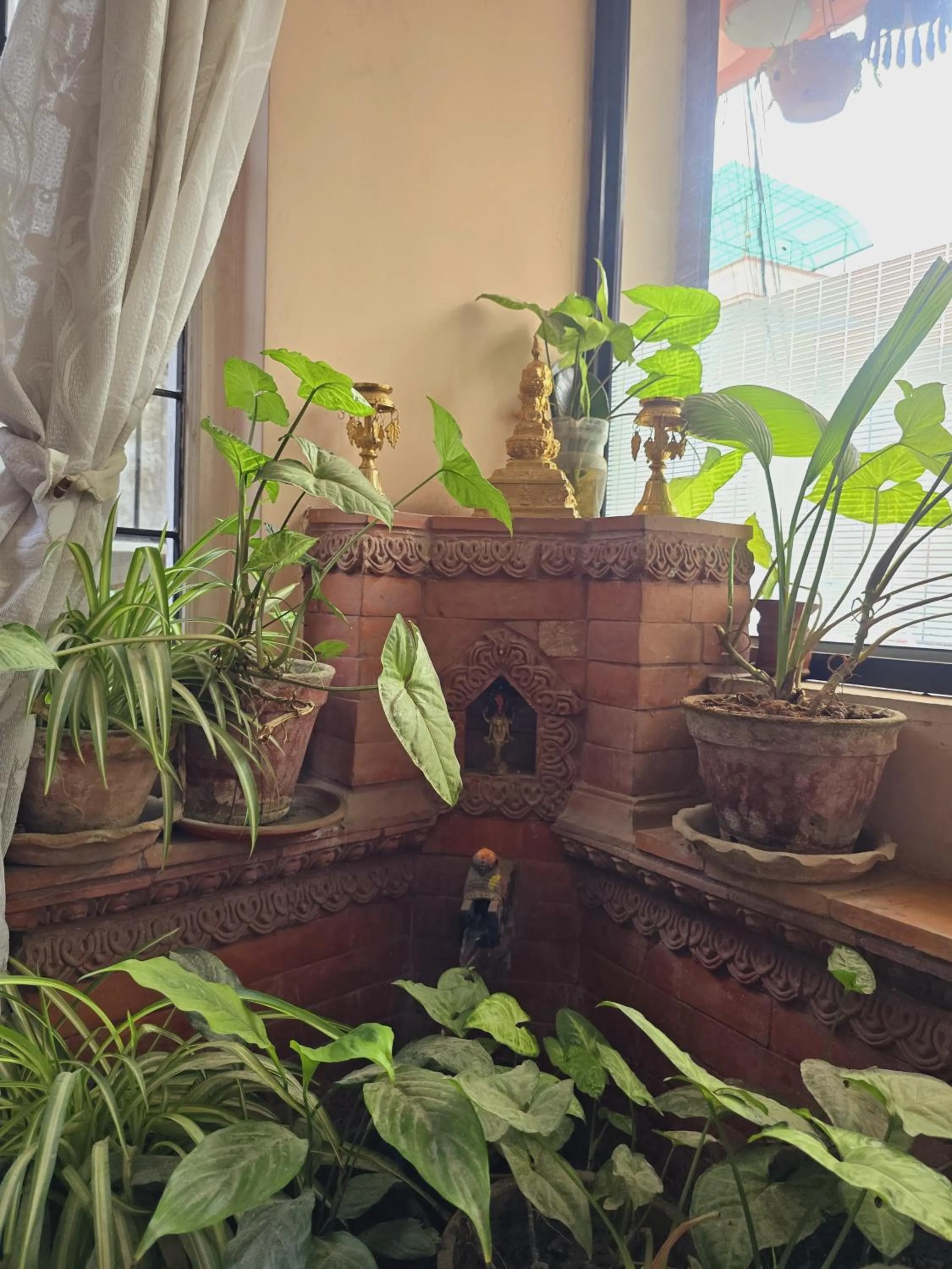 Day in Cascade Hotel Kathmandu