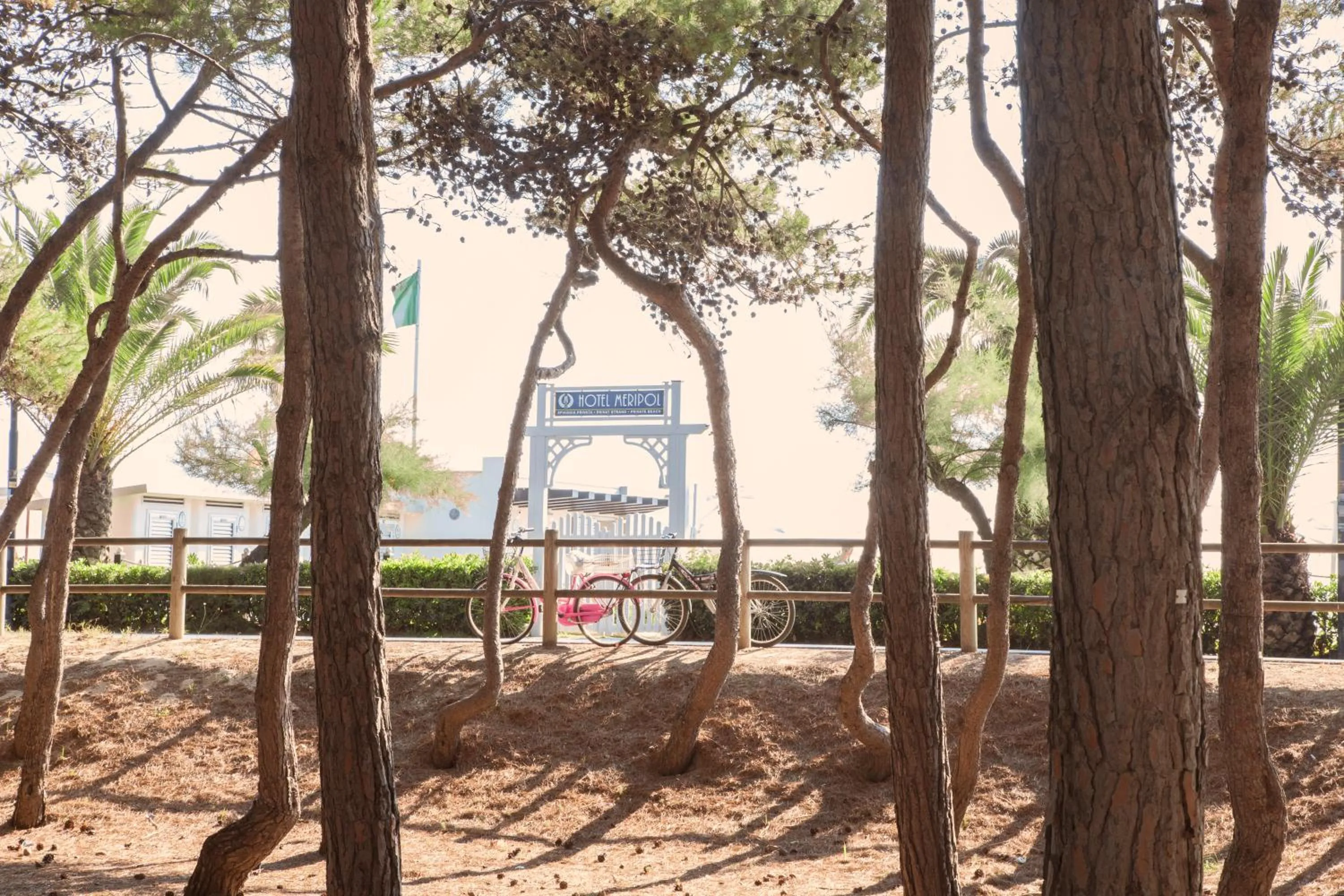 Beach in Hotel Meripol