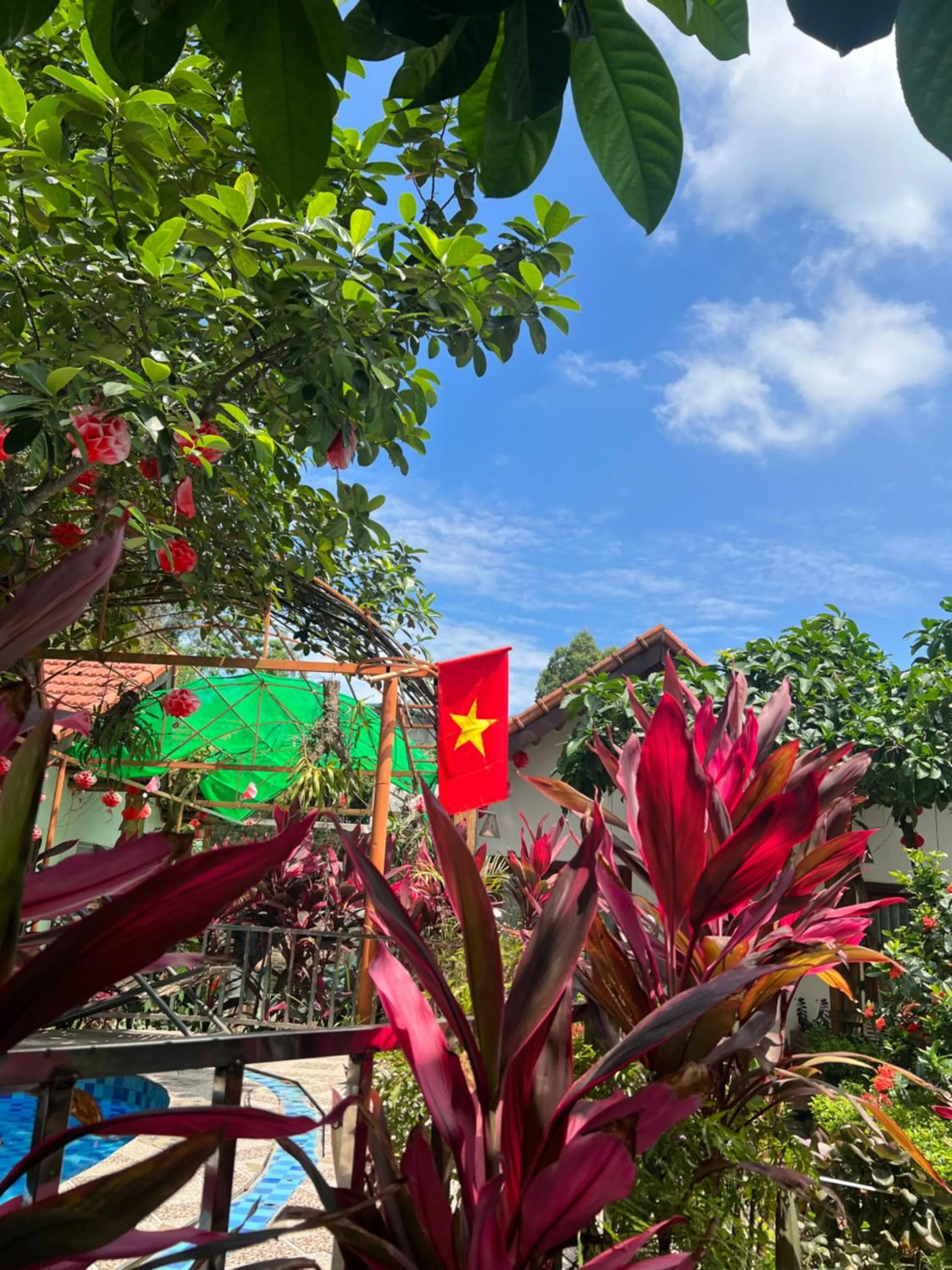 Tam Coc Serene Bungalow