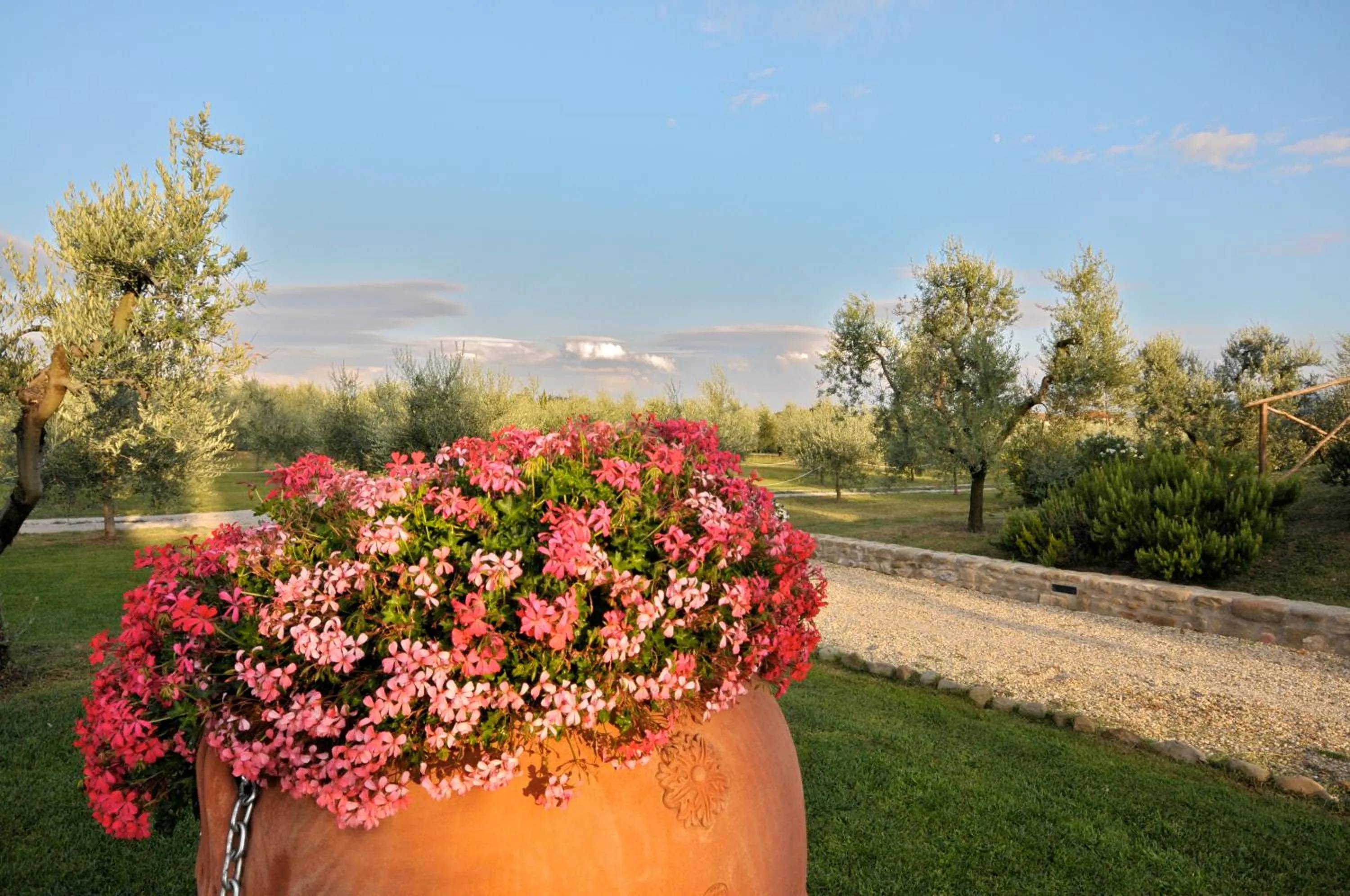 Garden in Agriturismo San Rocco