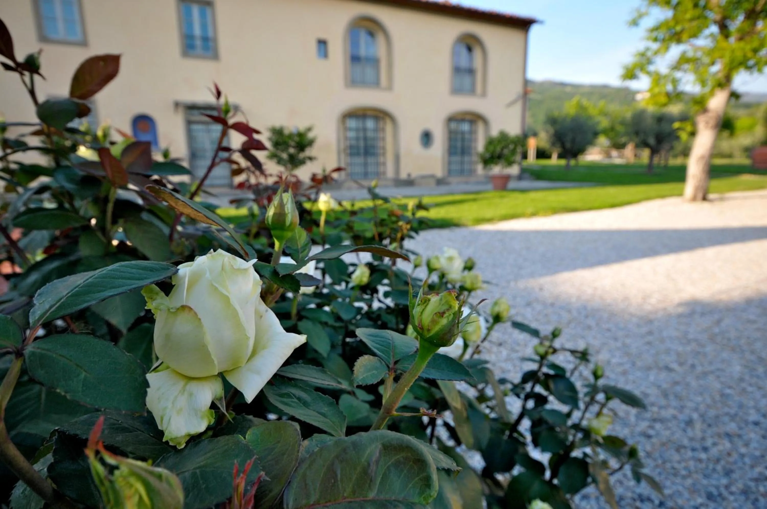 Garden in Agriturismo San Rocco