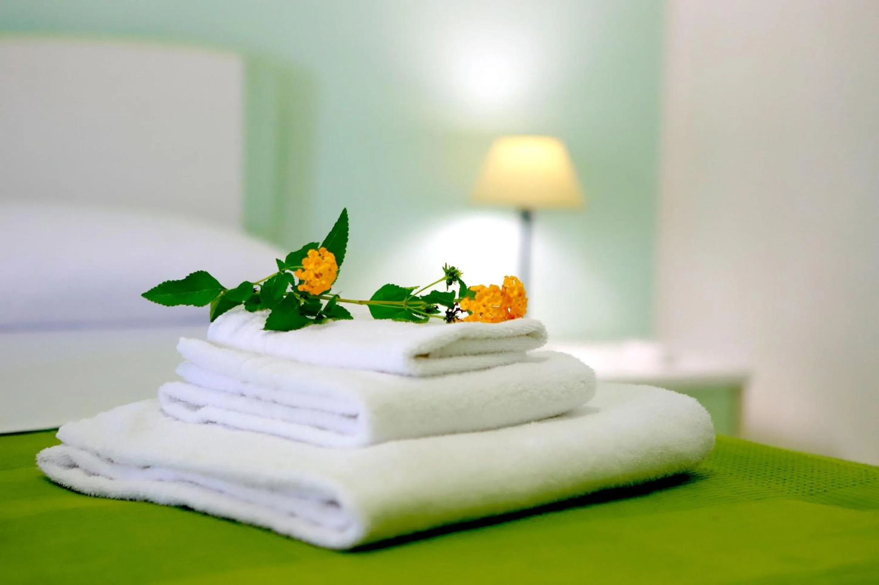 Decorative detail in Portorosa Residence