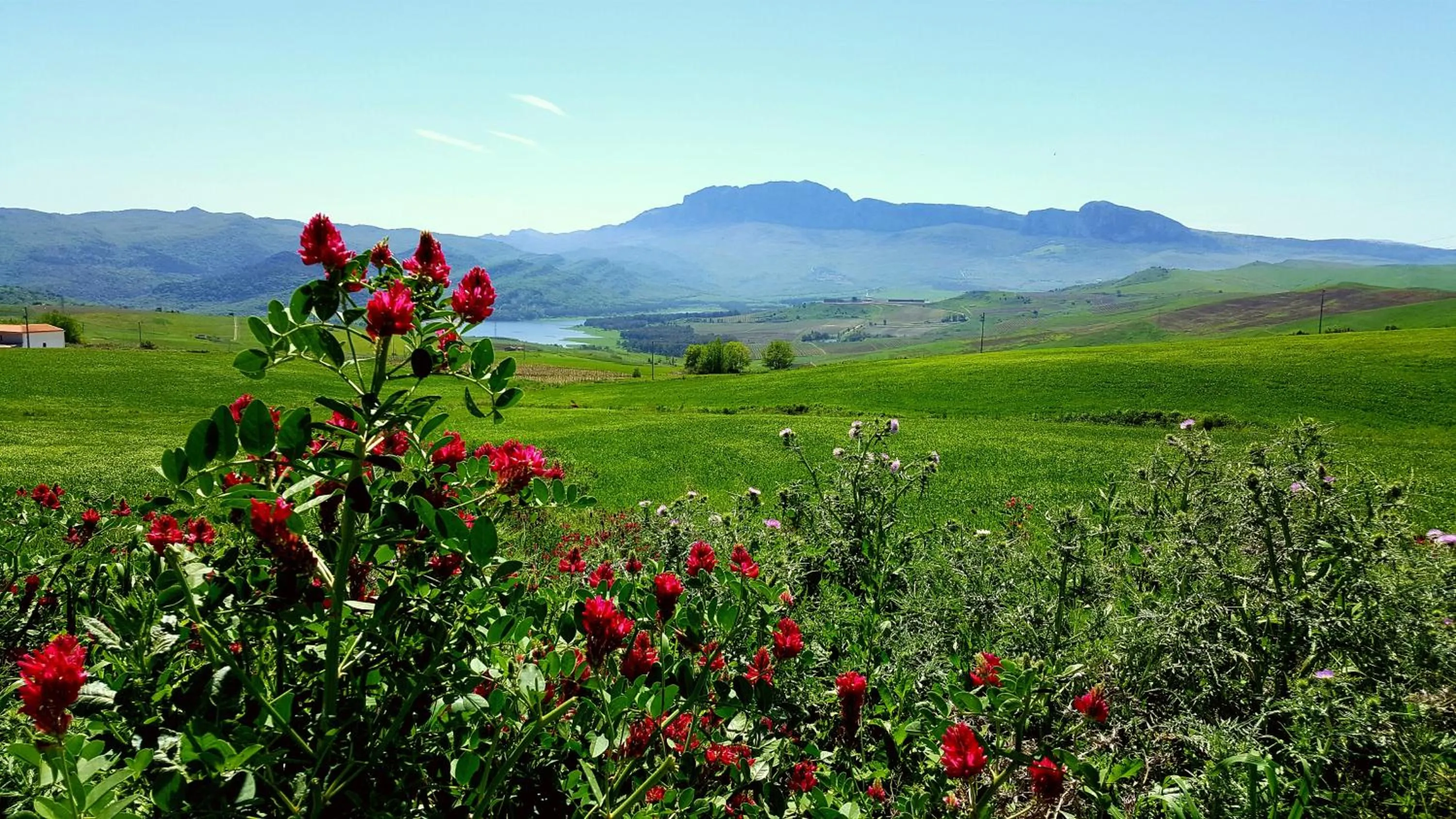 Spring in Masseria Rossella
