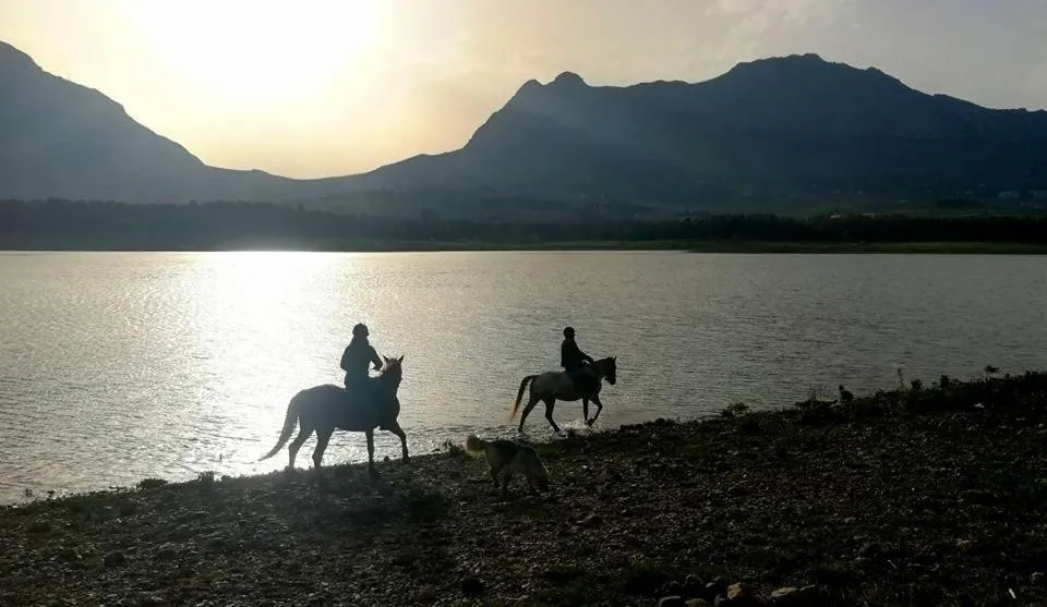 Horse-riding in Masseria Rossella