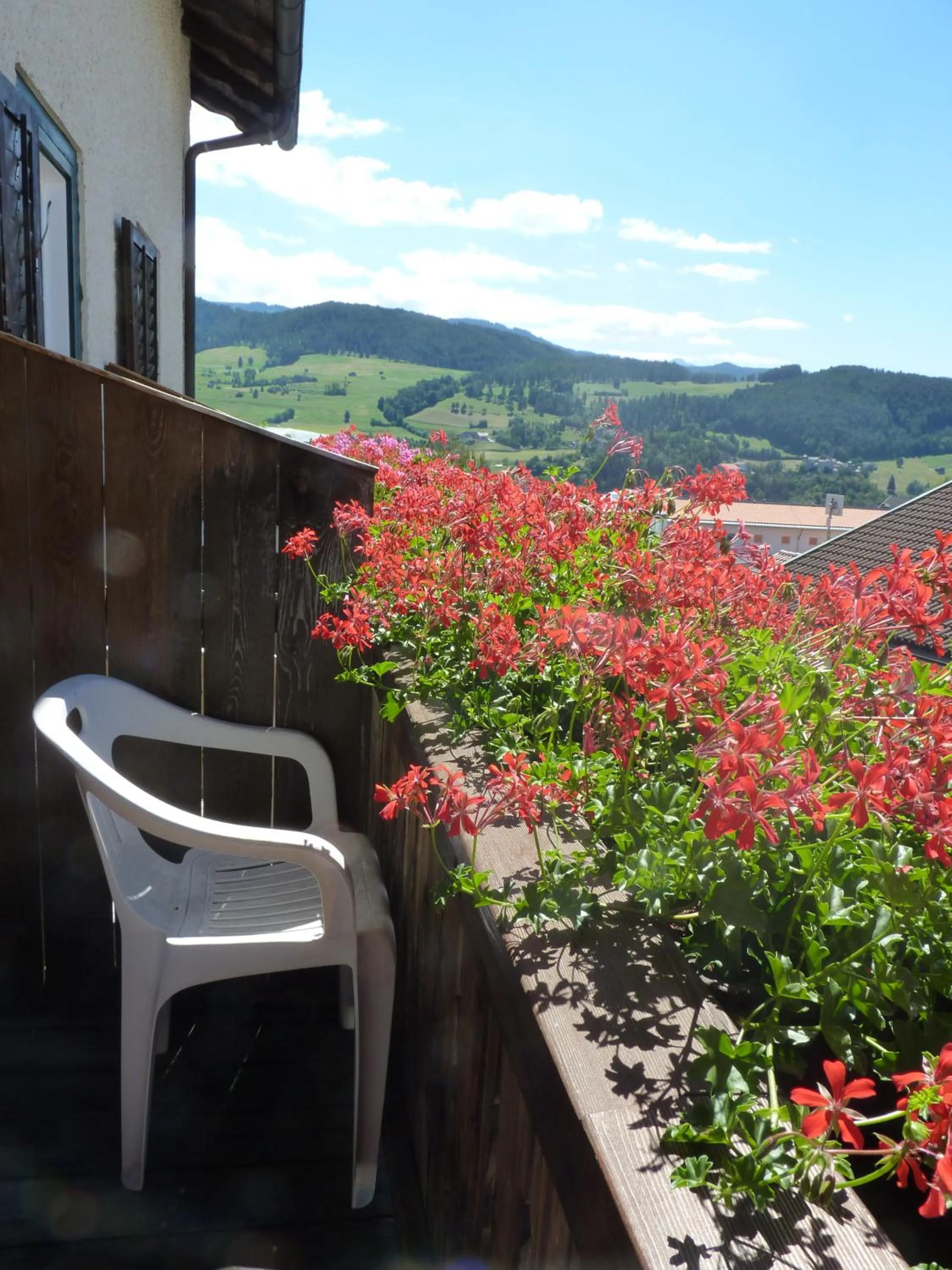 Balcony/Terrace in Gasthof Albergo Kreuzwirt