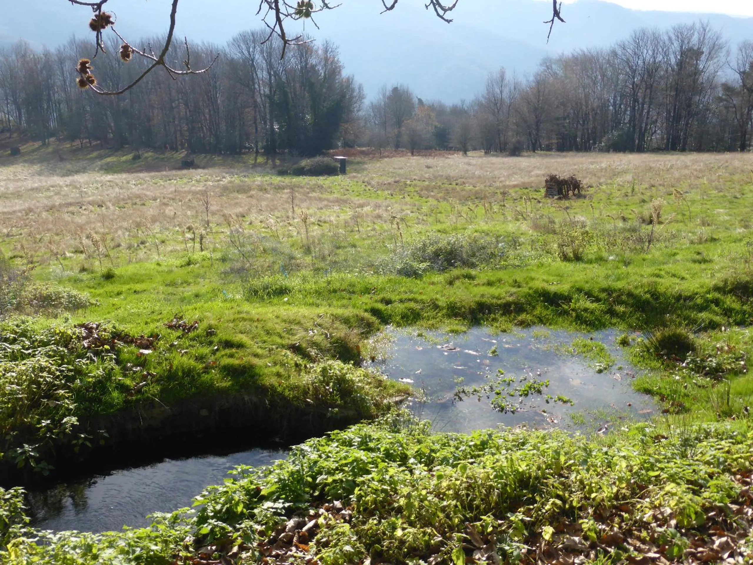Property building in La Bouriotte, chambre d'hôtes Sycomore,
