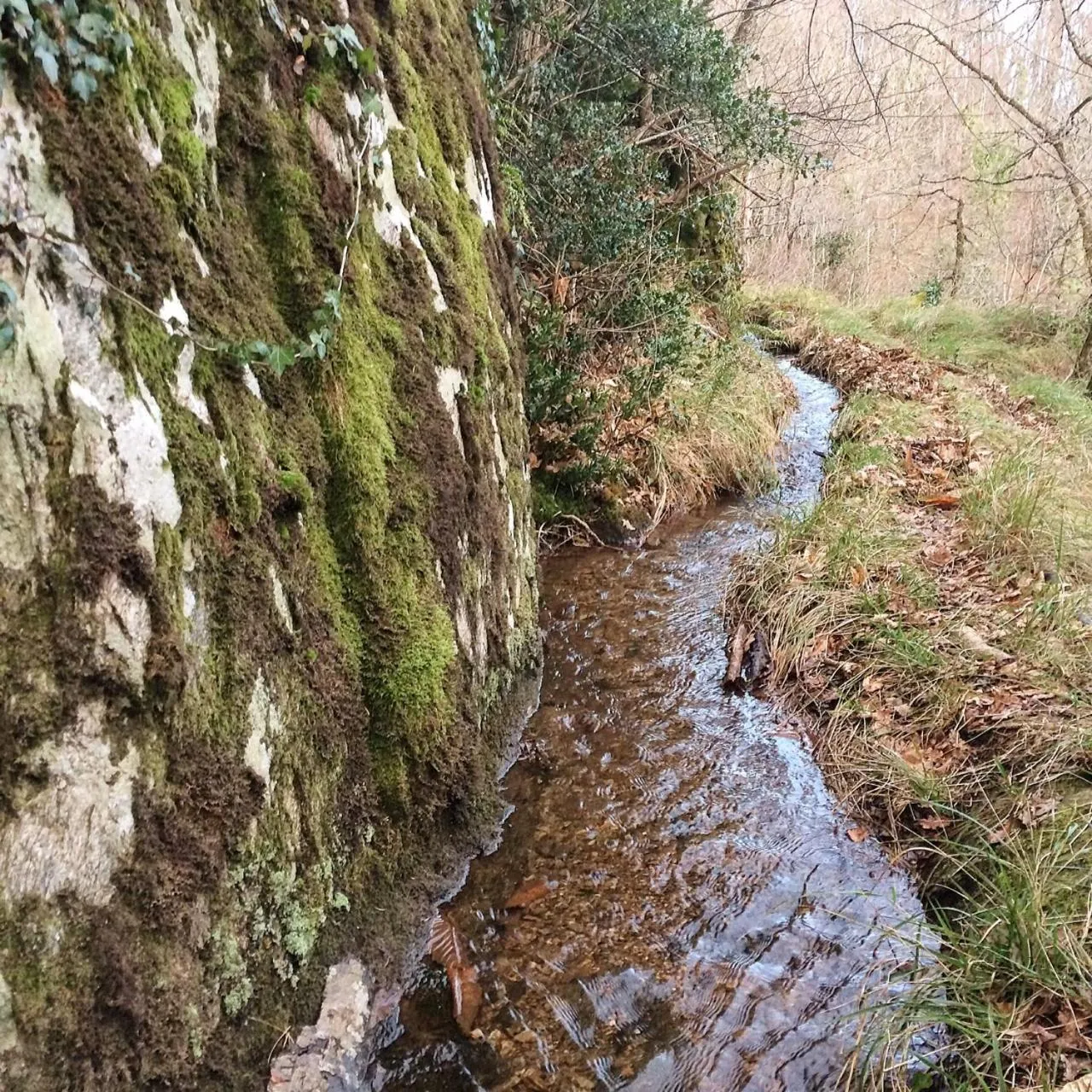 Property building in La Bouriotte, chambre d'hôtes Sycomore,