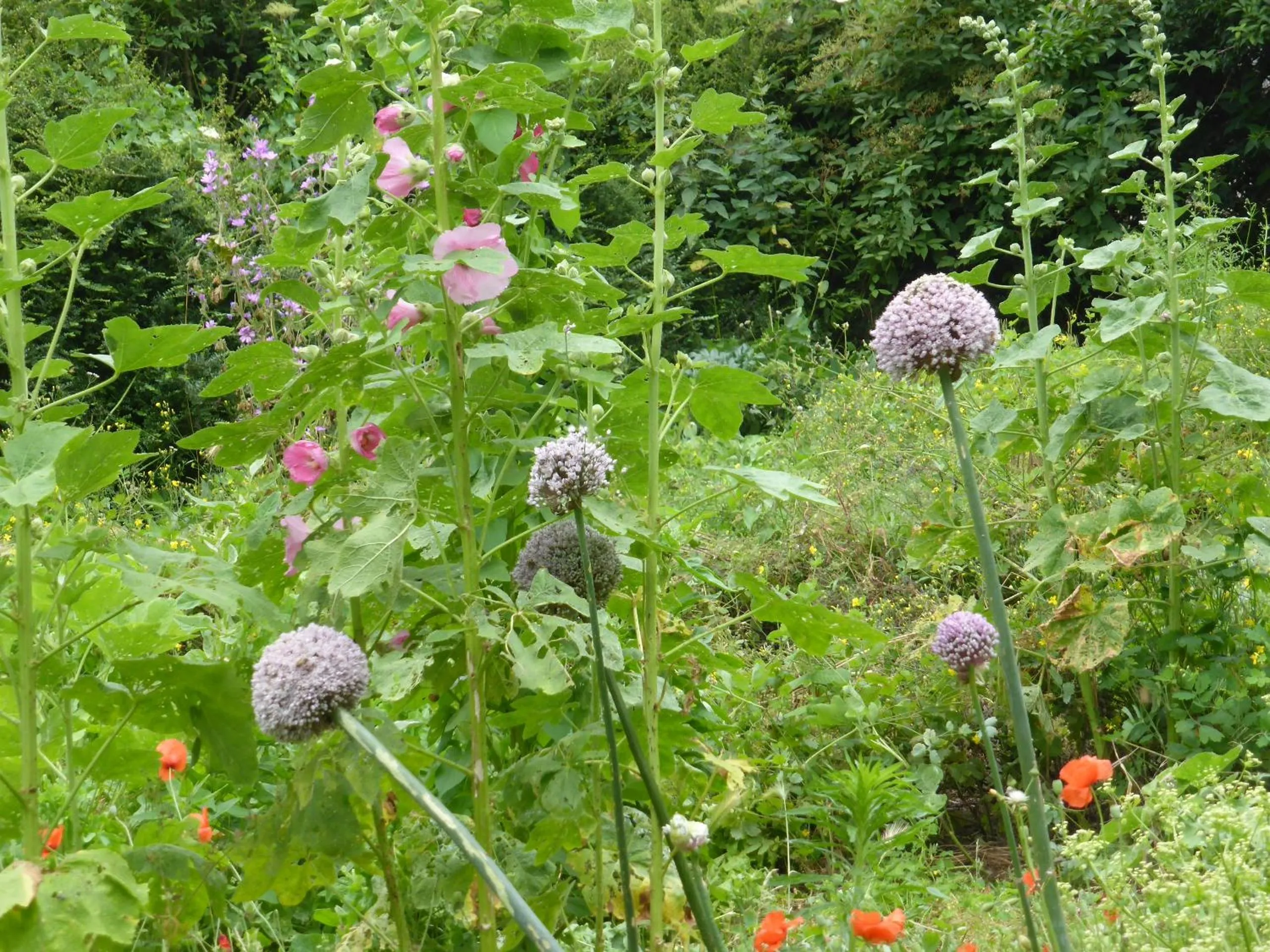 Property building in La Bouriotte, chambre d'hôtes Sycomore,