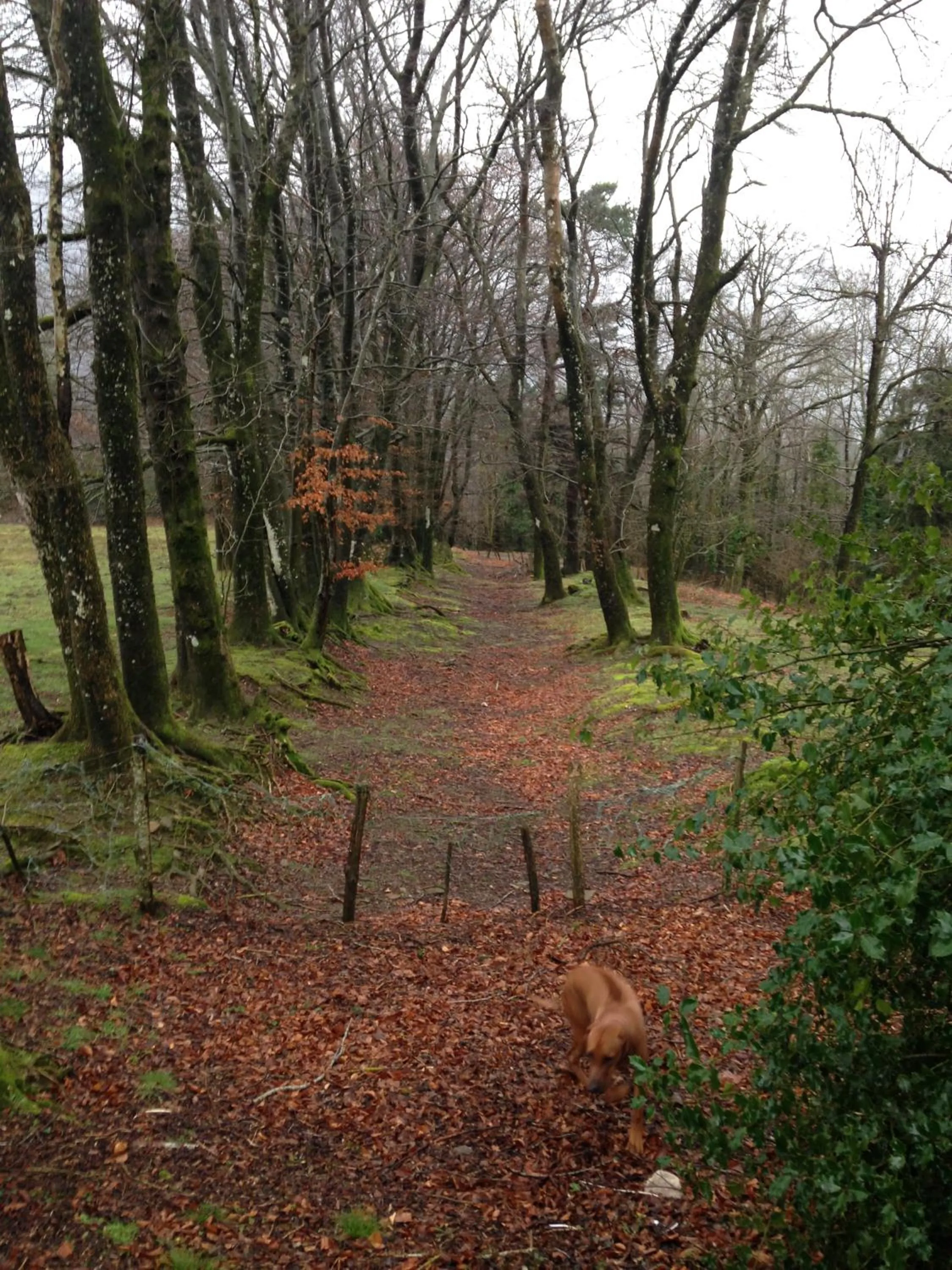 Property building in La Bouriotte, chambre d'hôtes Sycomore,