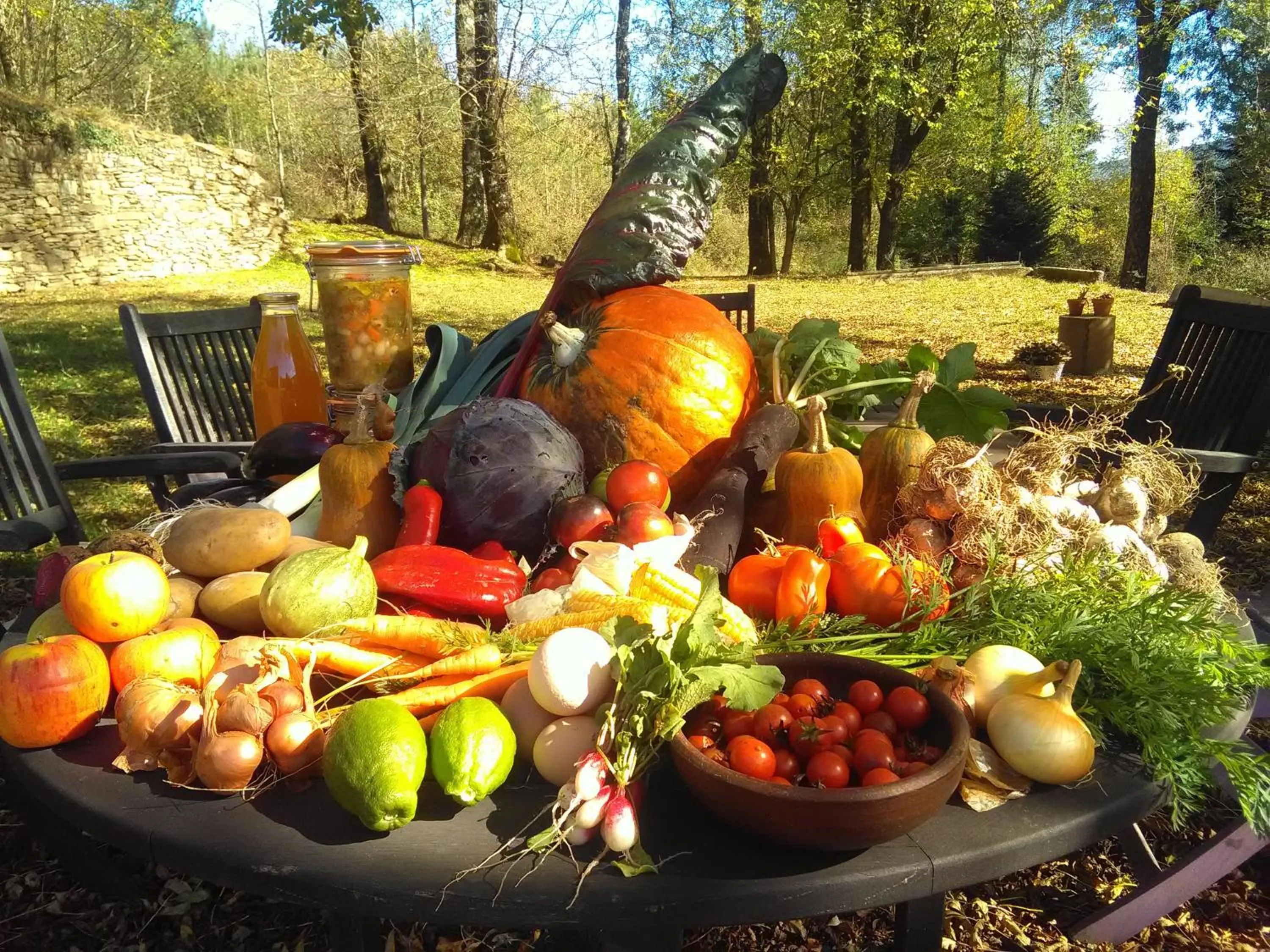 Garden in La Bouriotte, chambre d'hôtes Sycomore,