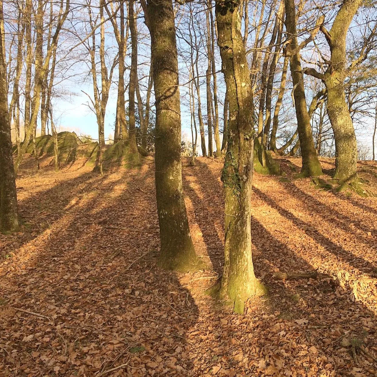 Property building in La Bouriotte, chambre d'hôtes Sycomore,