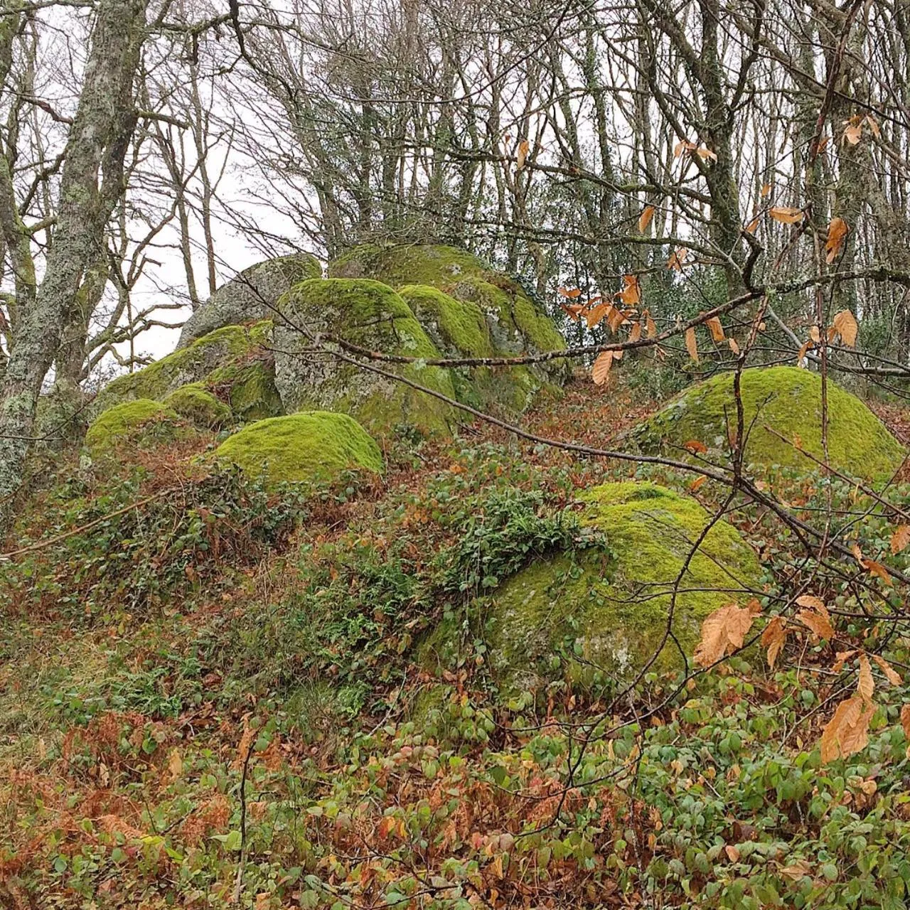 Property building in La Bouriotte, chambre d'hôtes Sycomore,