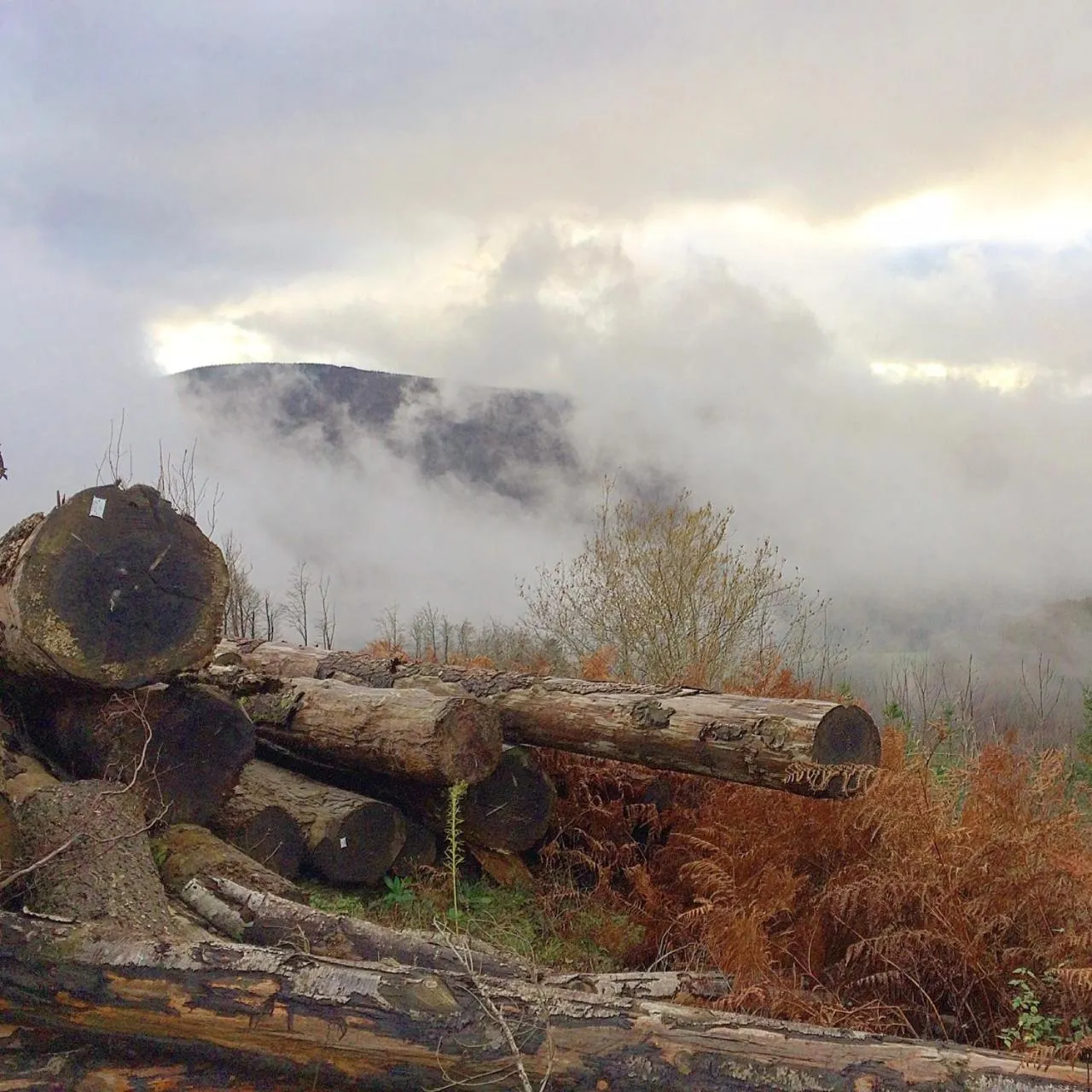 Property building in La Bouriotte, chambre d'hôtes Sycomore,