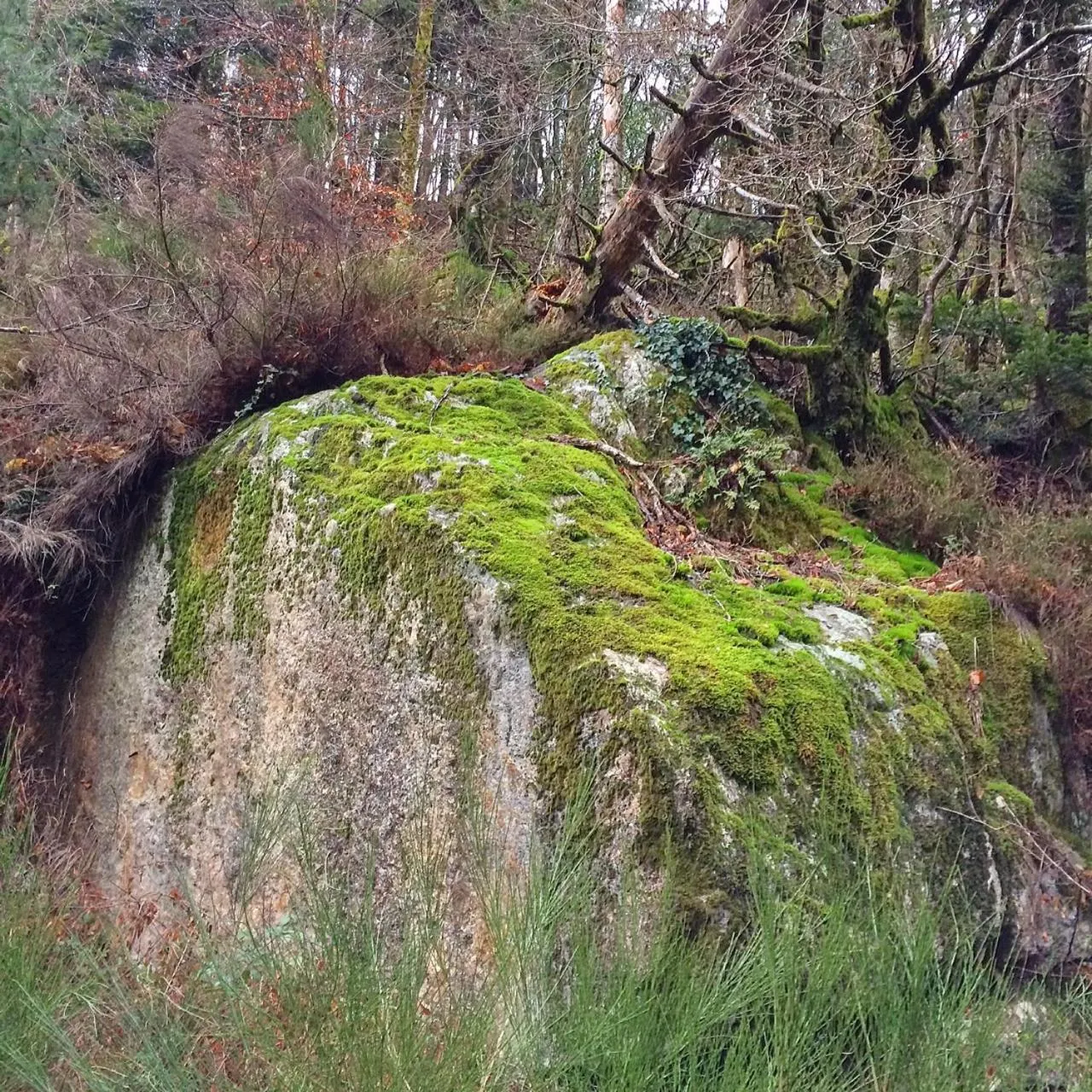 Property building in La Bouriotte, chambre d'hôtes Sycomore,