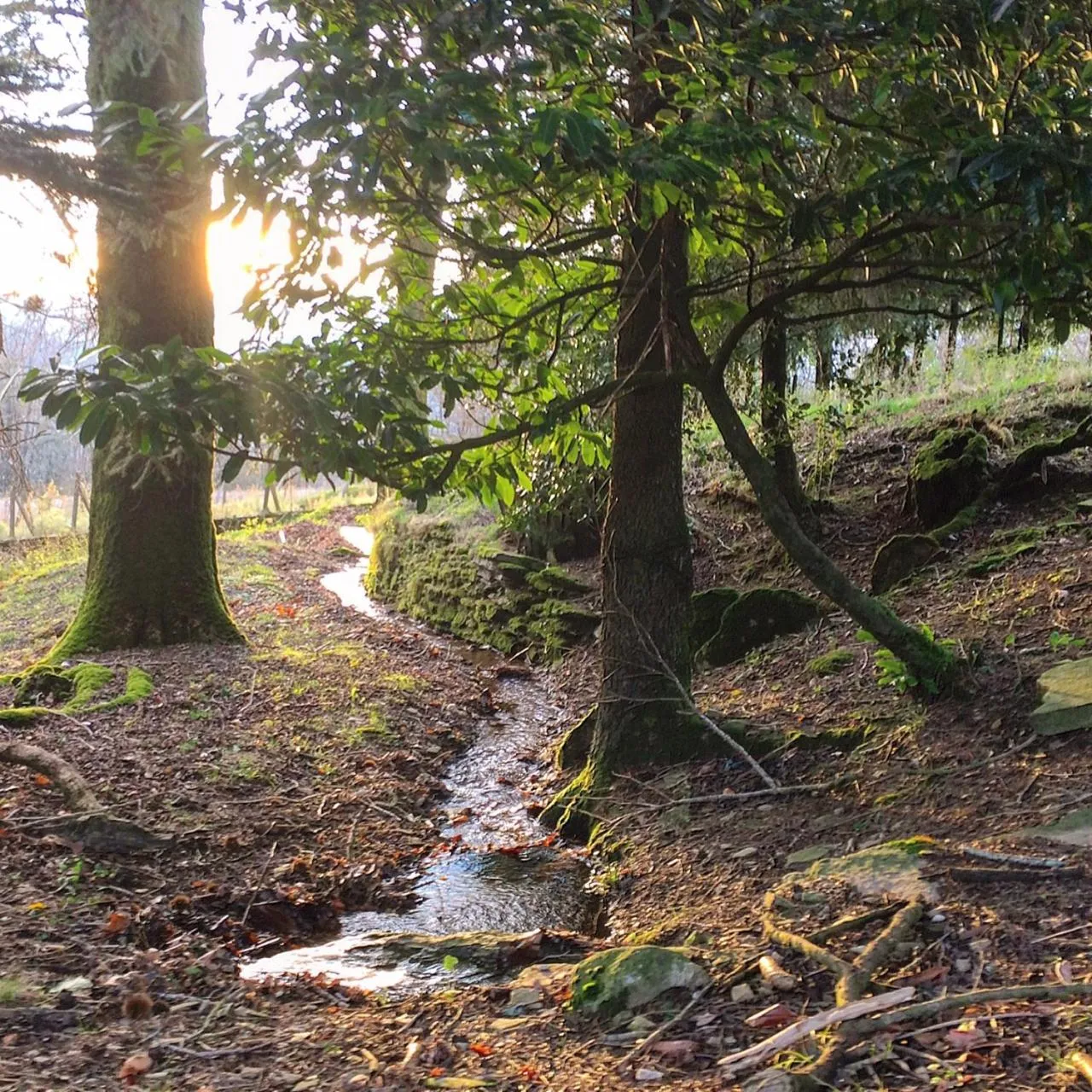 Property building in La Bouriotte, chambre d'hôtes Sycomore,