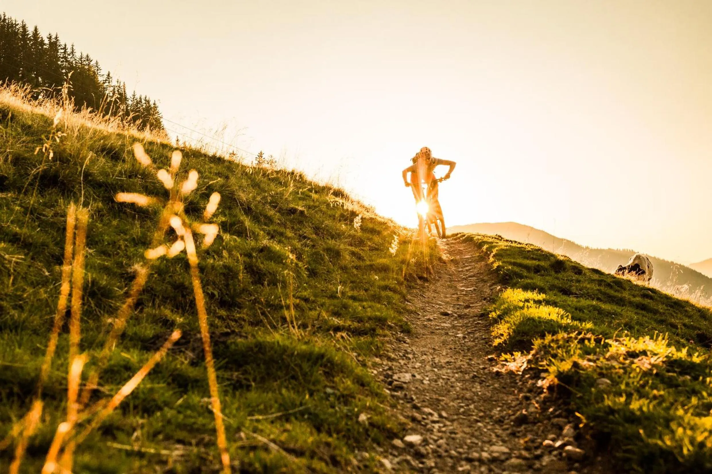 Spring in Hotel Bichlingerhof