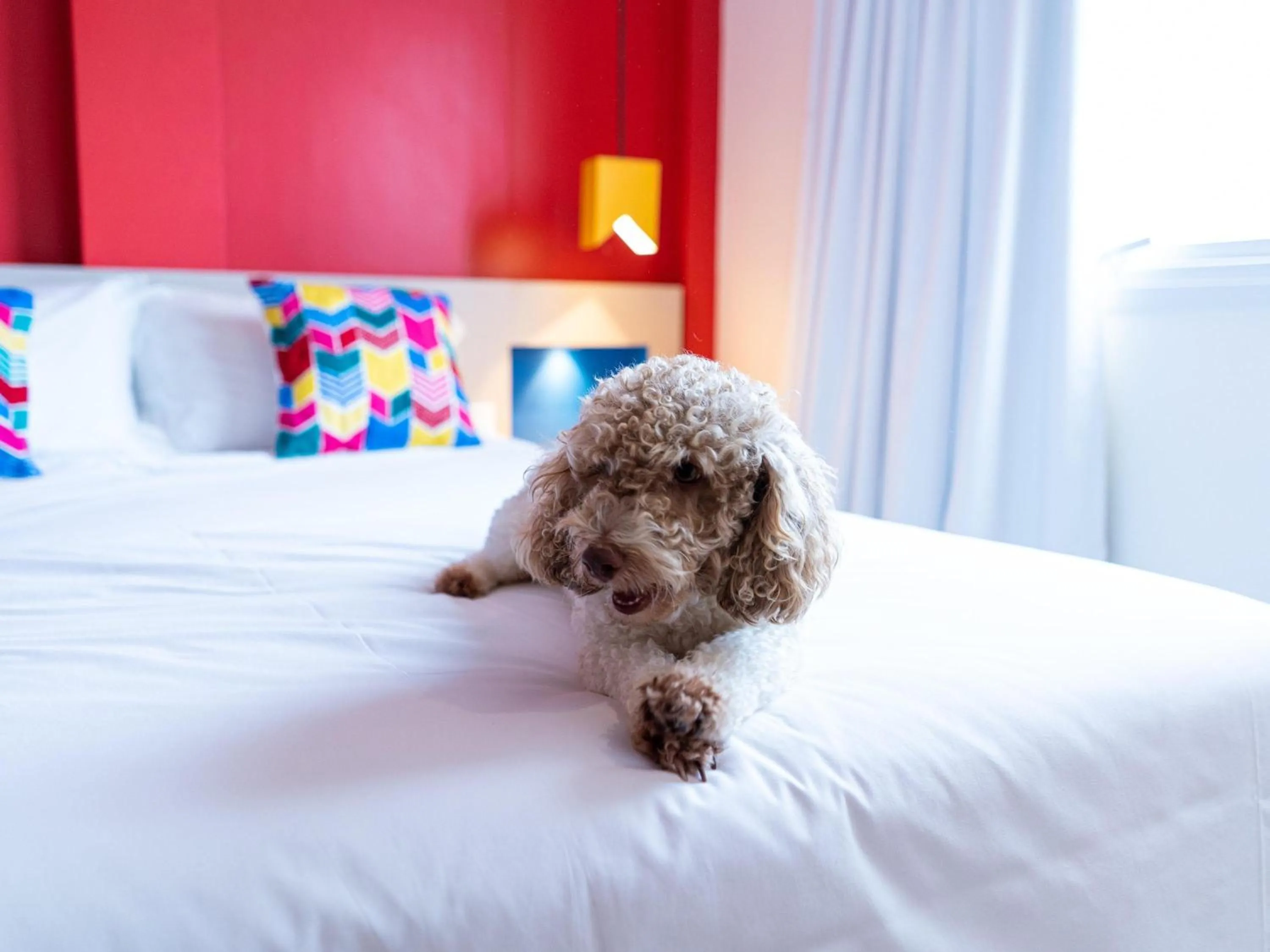 Bedroom, Bed in ibis Styles Campina Grande