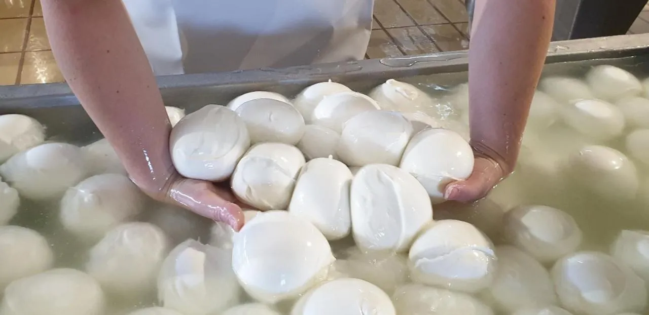 Food in B&B dal Gallo