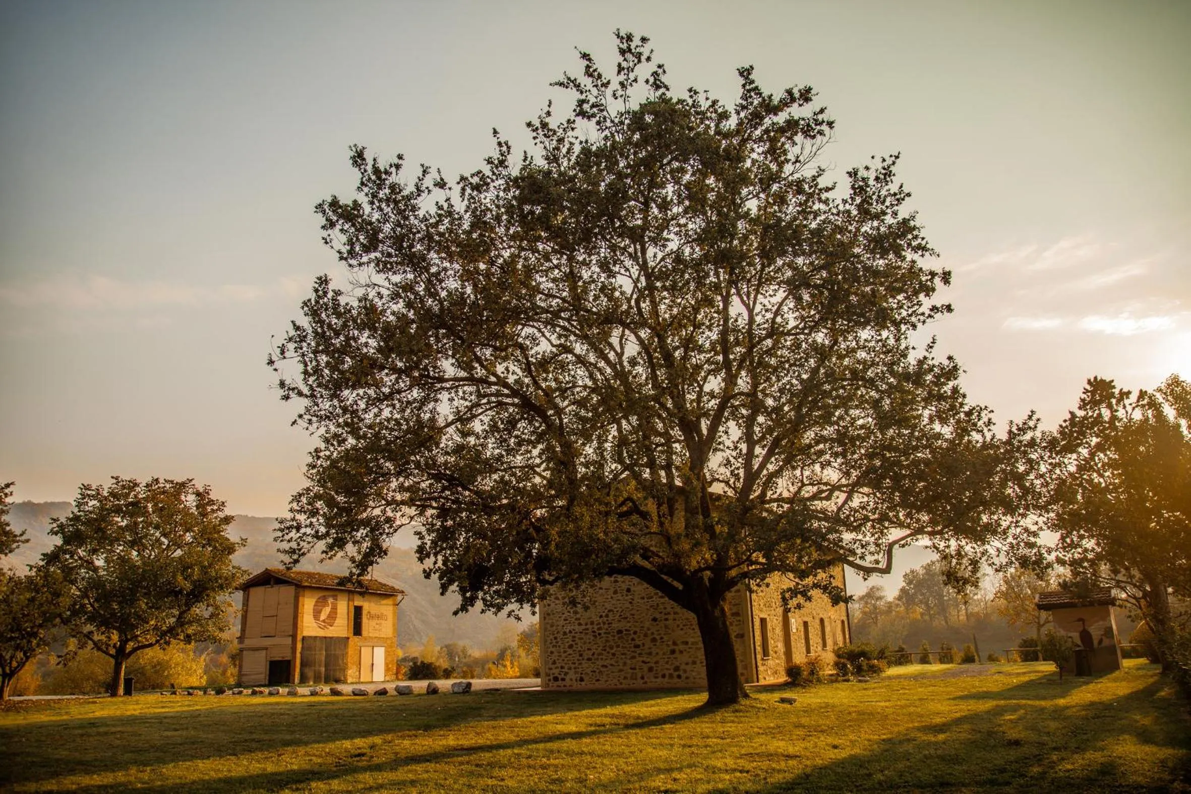 Garden in Villaggio Della Salute Più