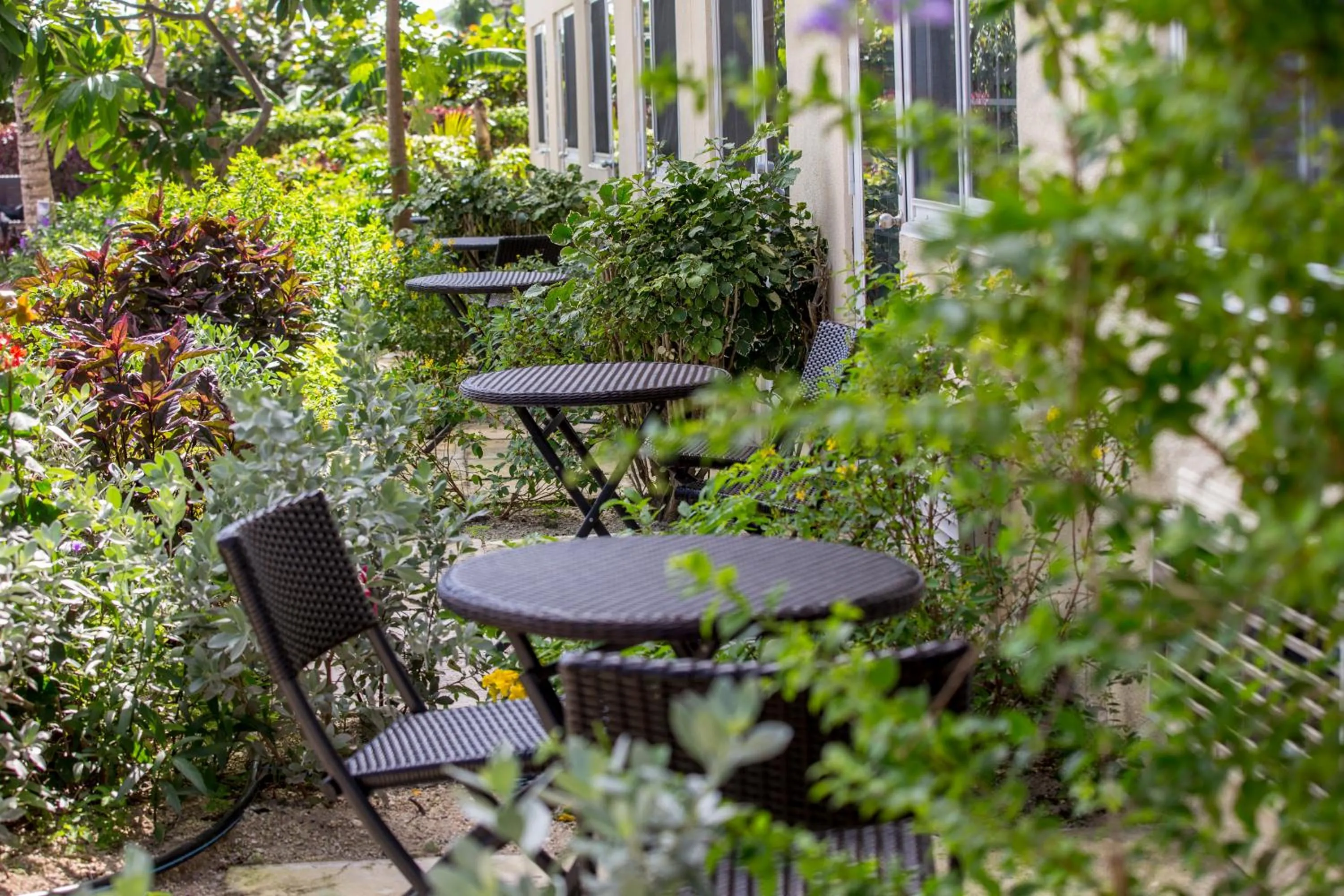 Garden in Ports of Call Resort