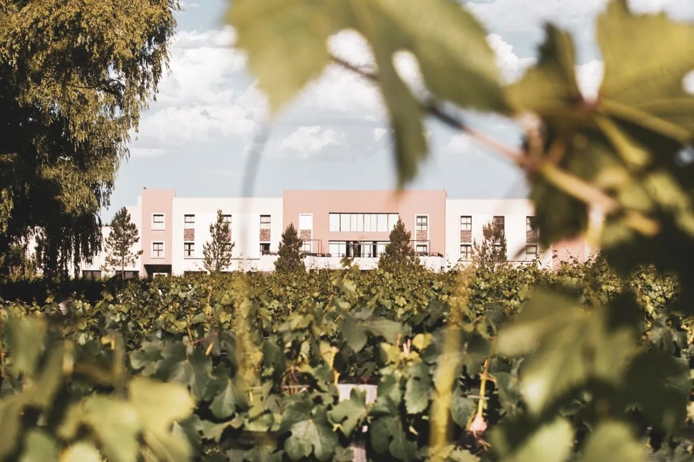 Landmark view in Fuente Mayor Hotel & Casino
