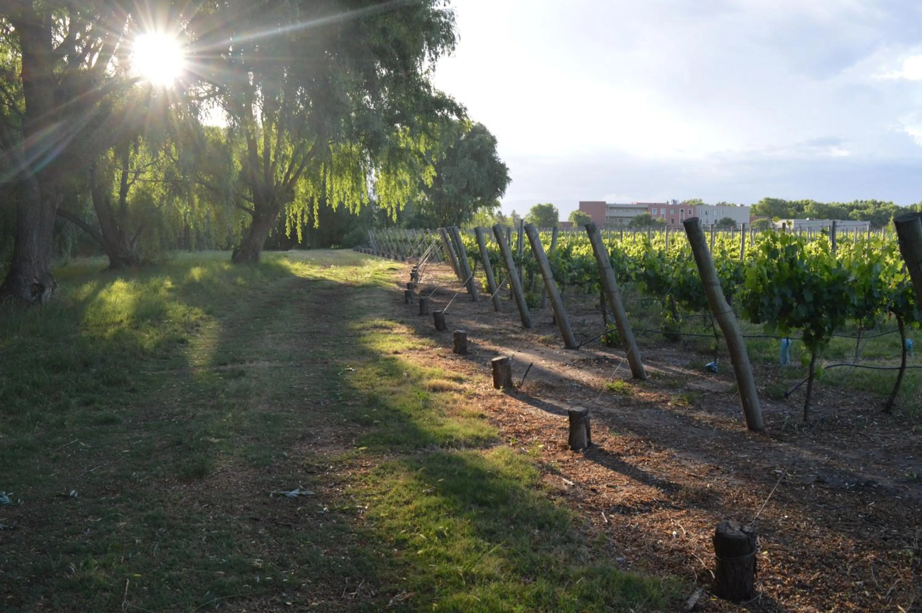 Nearby landmark in Fuente Mayor Hotel & Casino
