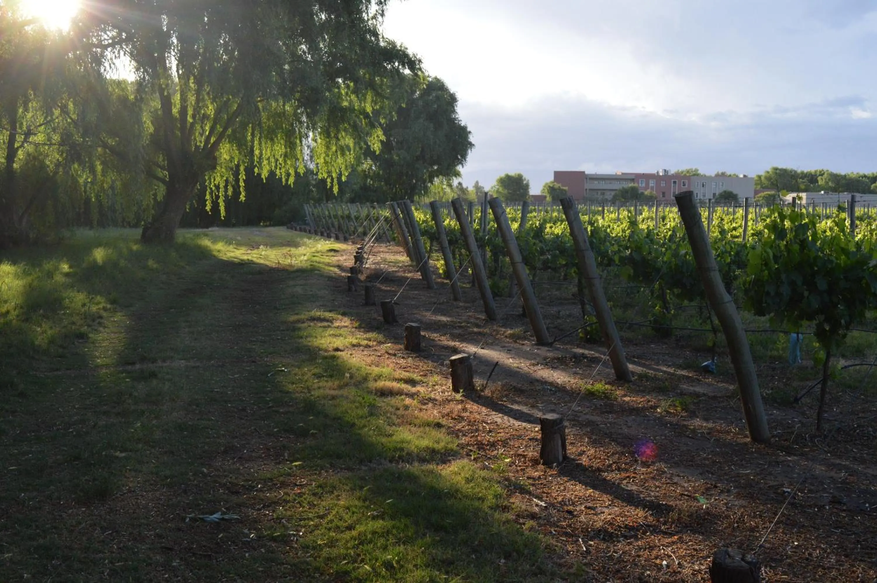 Natural landscape in Fuente Mayor Hotel & Casino