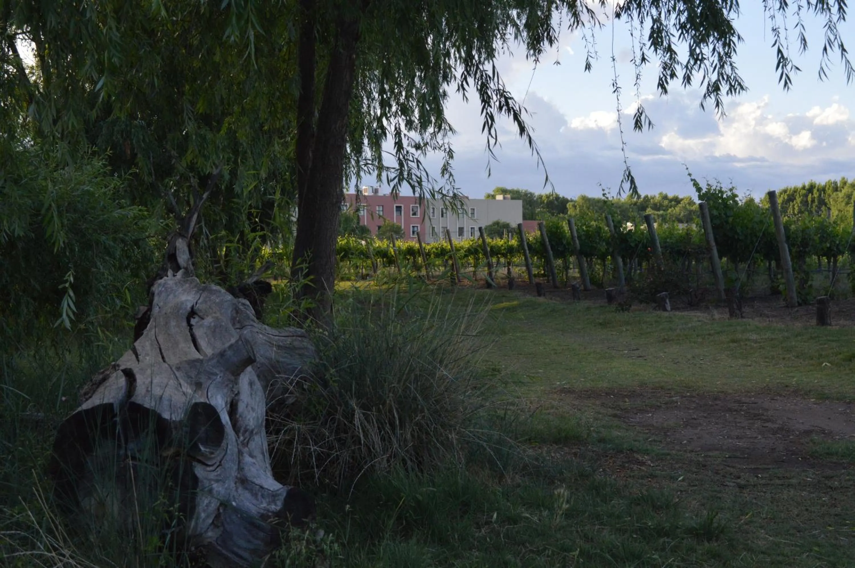 Nearby landmark in Fuente Mayor Hotel & Casino