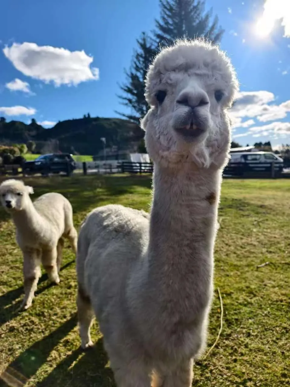 Property building in Hideaway of Rotorua
