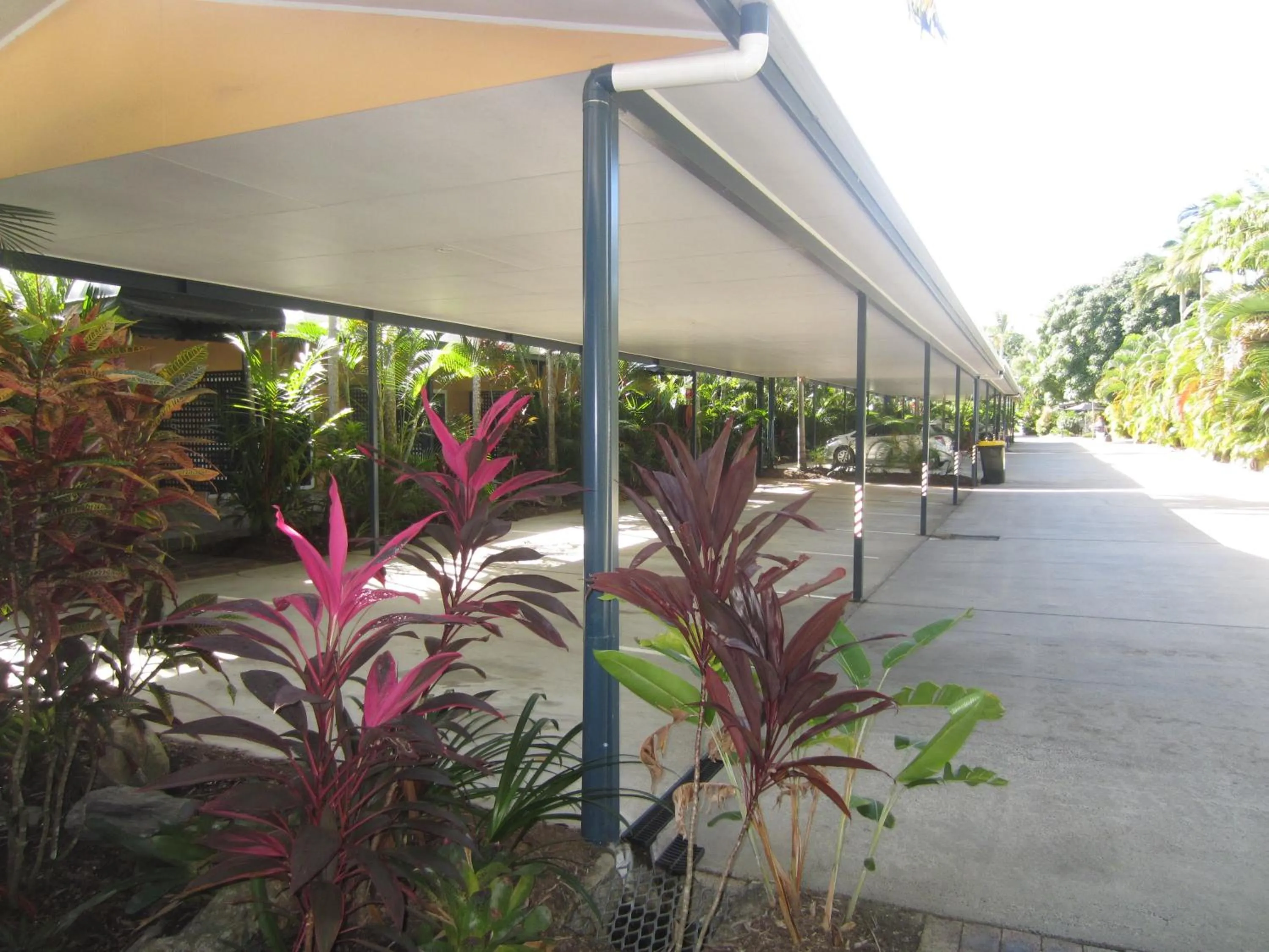 Facade/entrance in Lazy Lizard Motor Inn