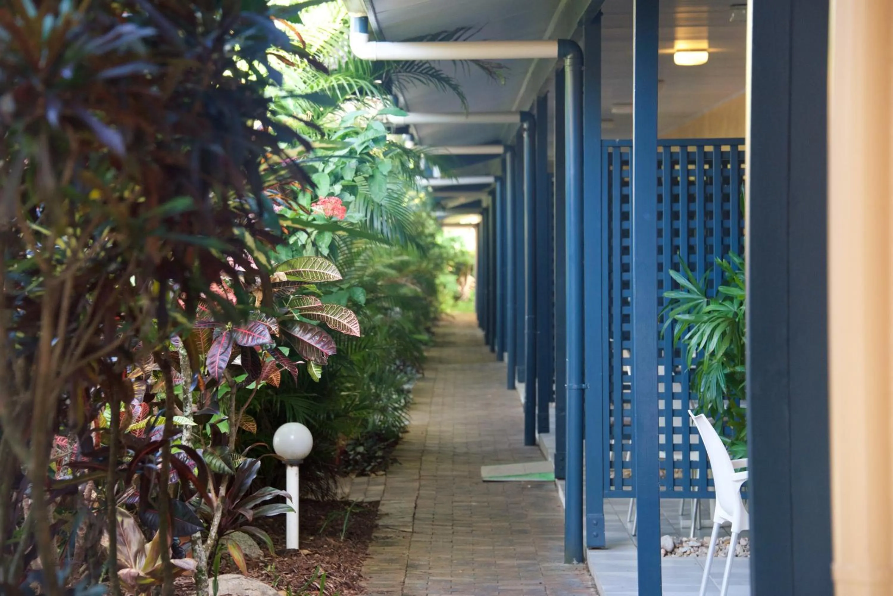 Patio in Lazy Lizard Motor Inn