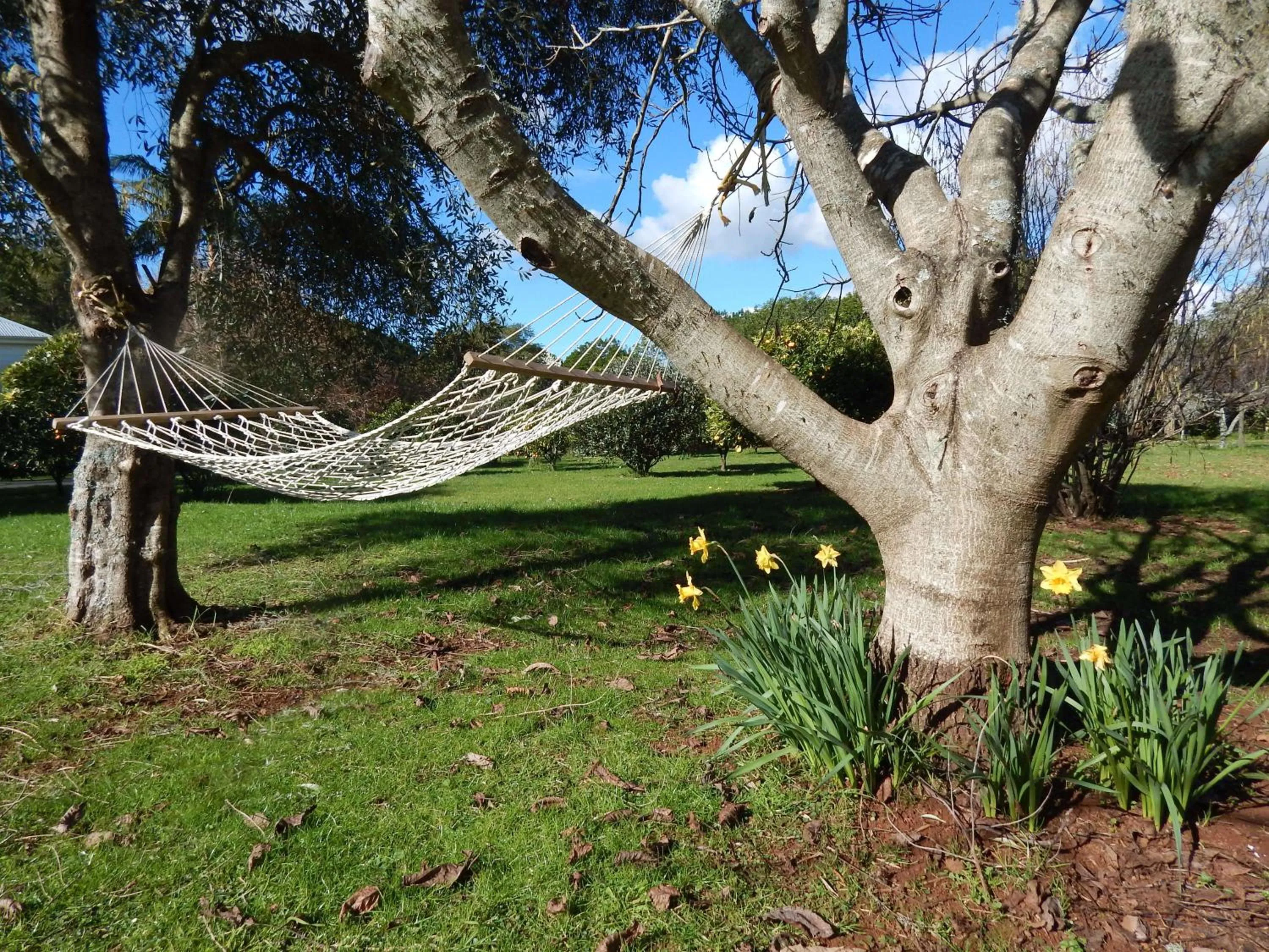 Garden in Lupton Lodge