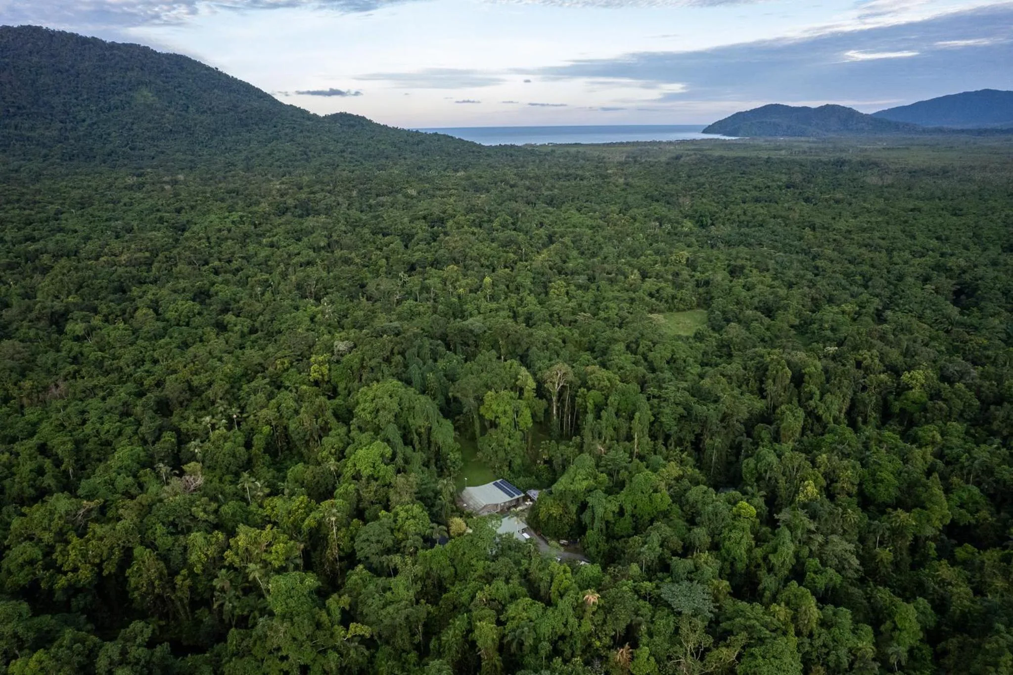View (from property/room) in Heritage Lodge - in the Daintree