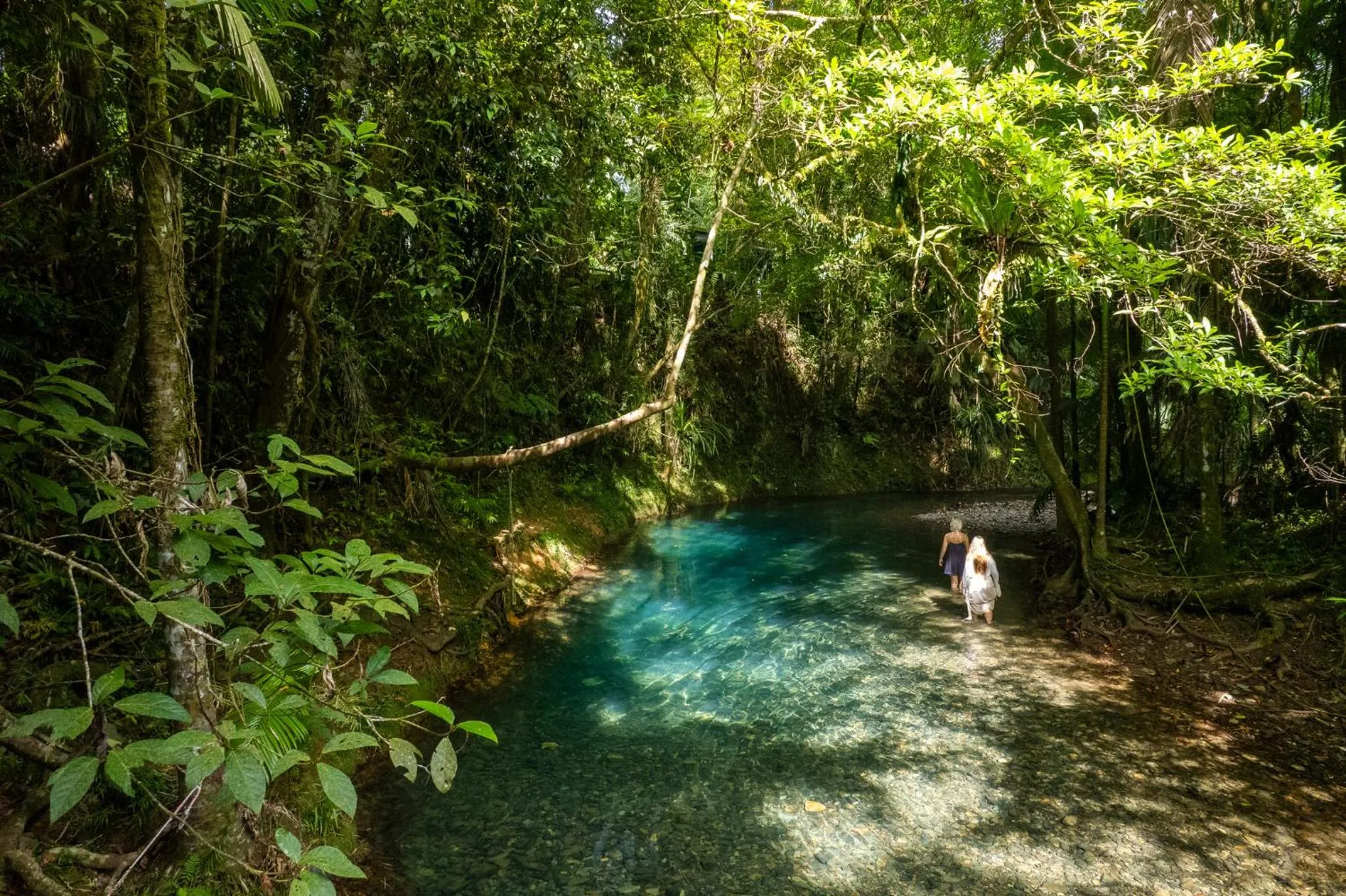 River view in Heritage Lodge - in the Daintree