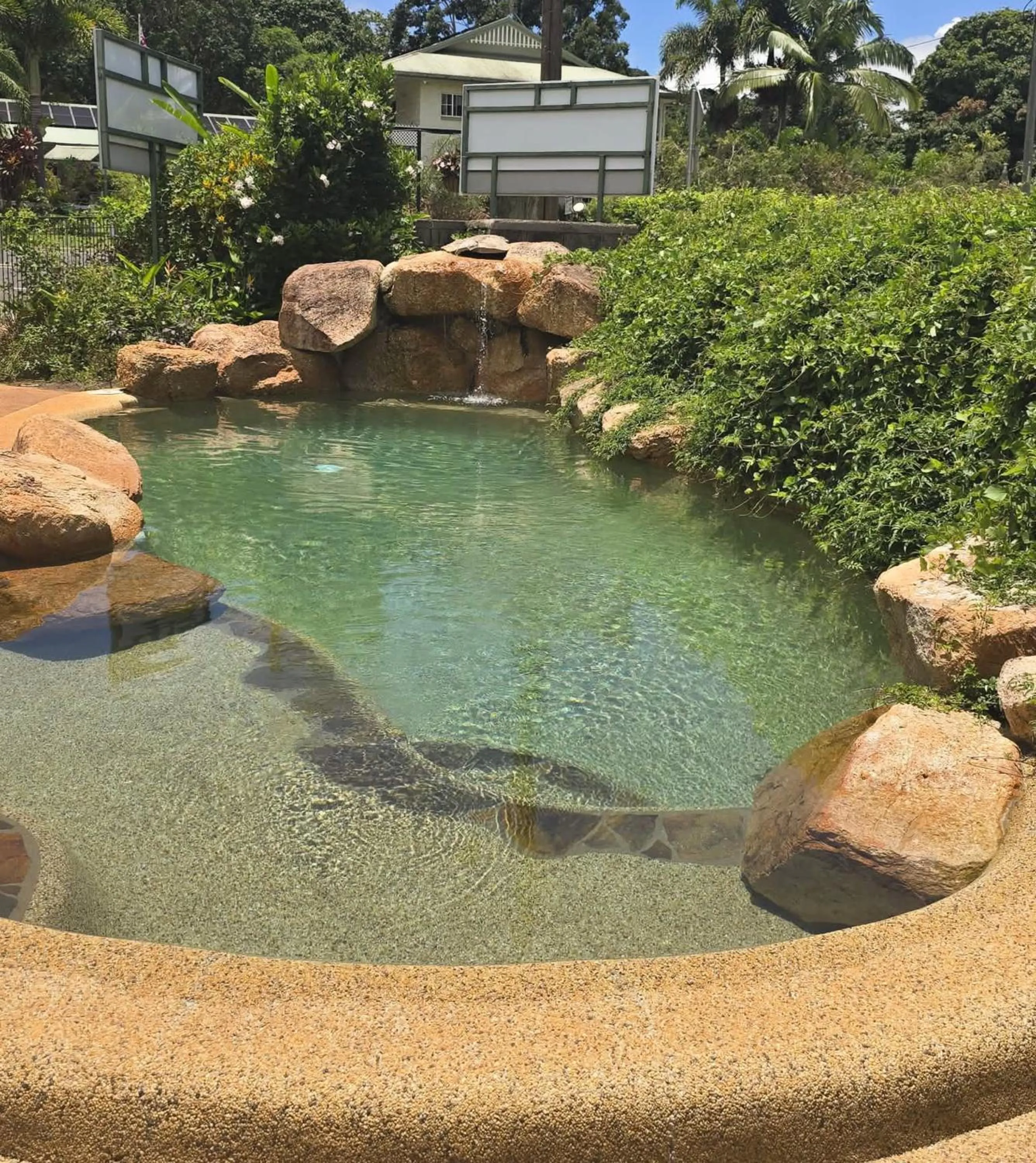 Swimming pool in Curtain Fig Motel