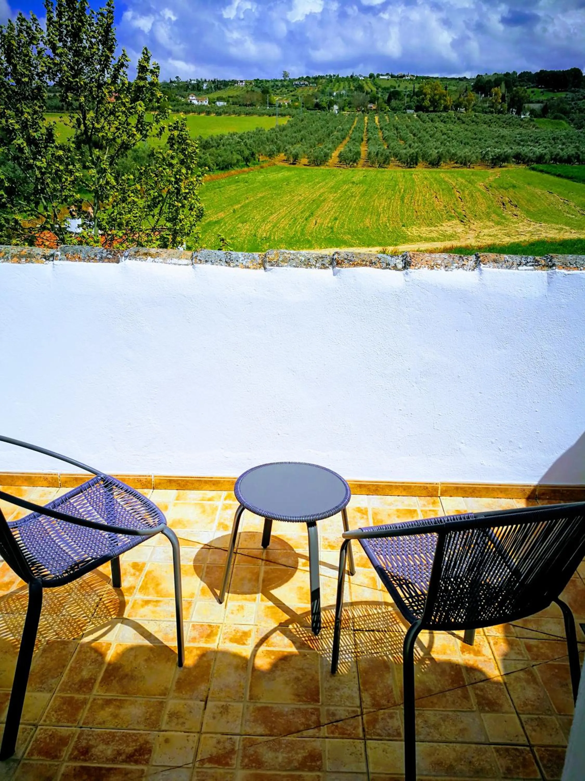 Balcony/Terrace in Hotel Ronda Moments