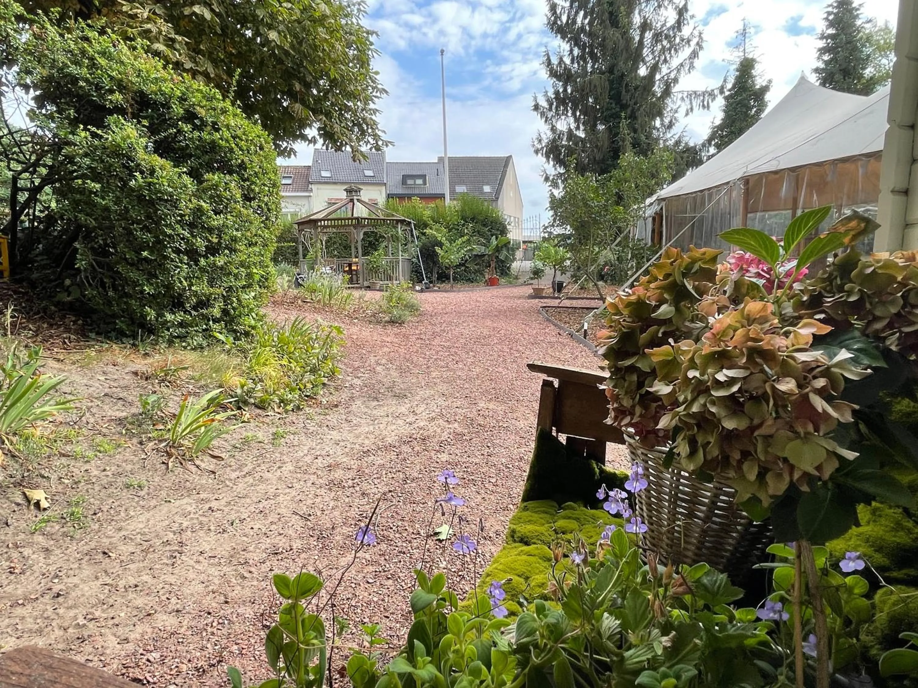 Garden in Maison Stout