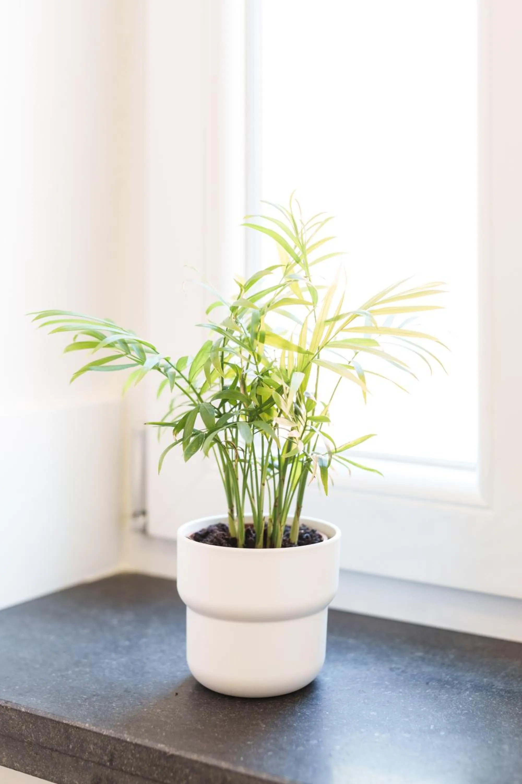 Bathroom in It's Room Naples