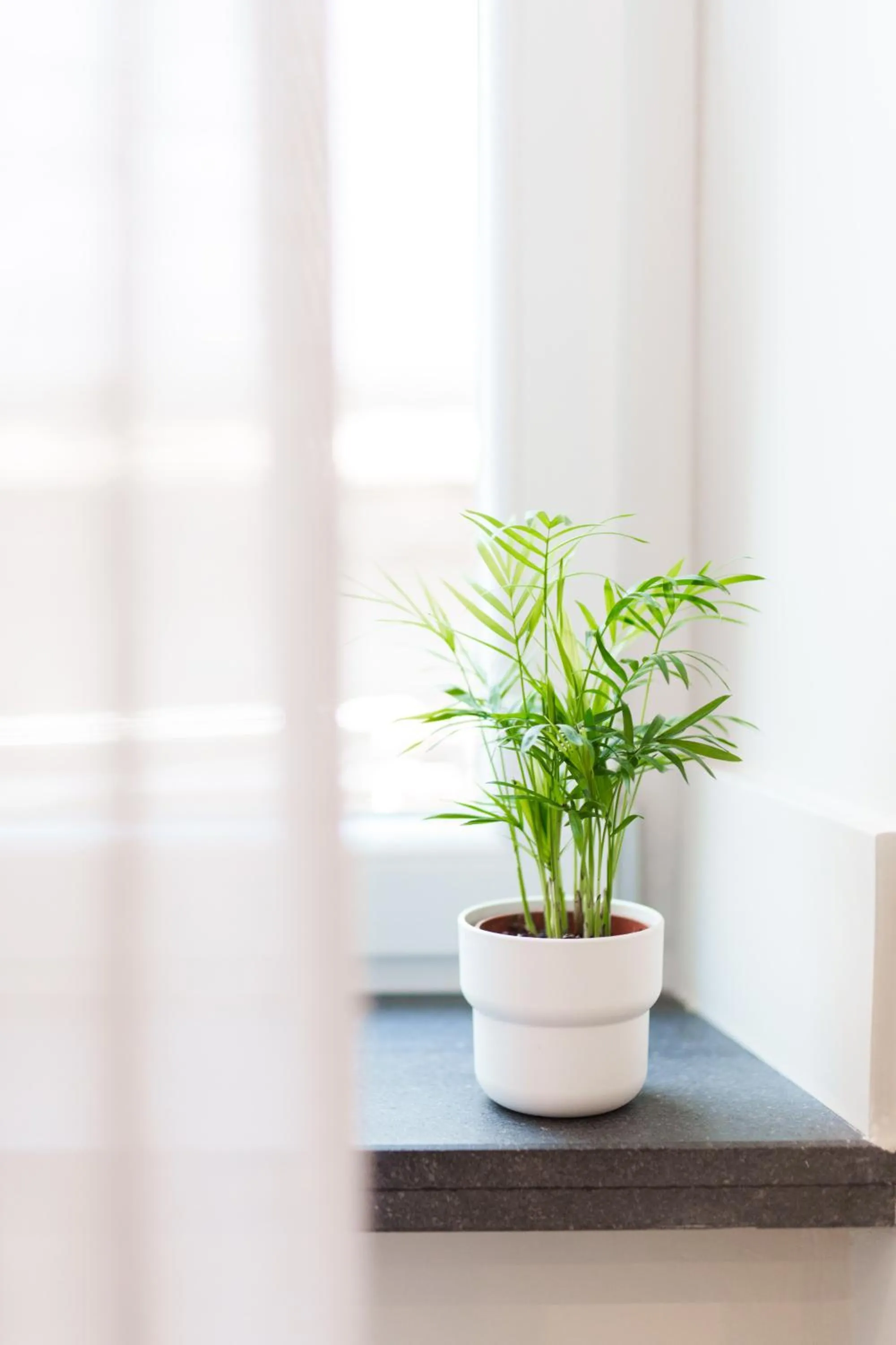 Decorative detail in It's Room Naples