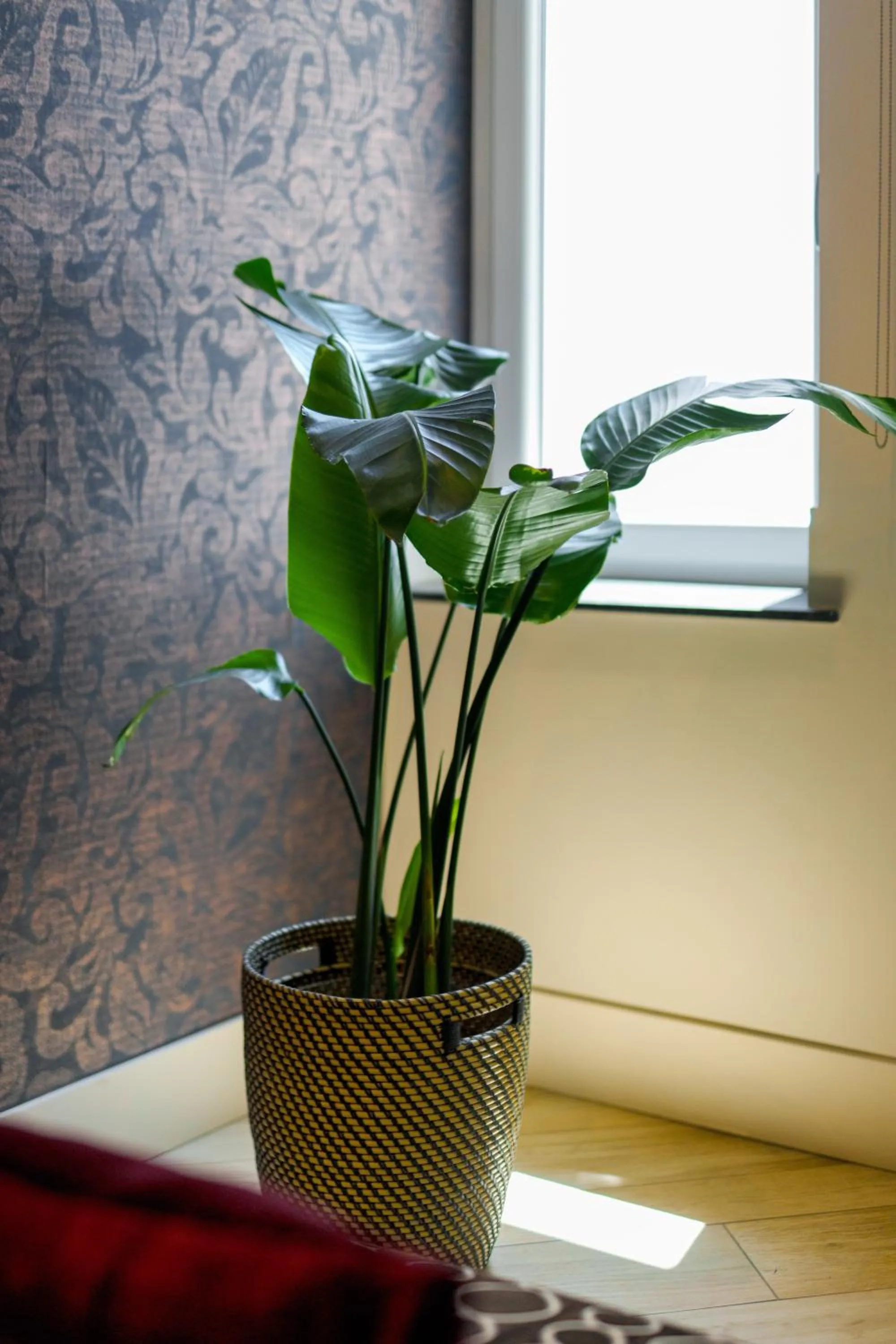 Decorative detail in It's Room Naples