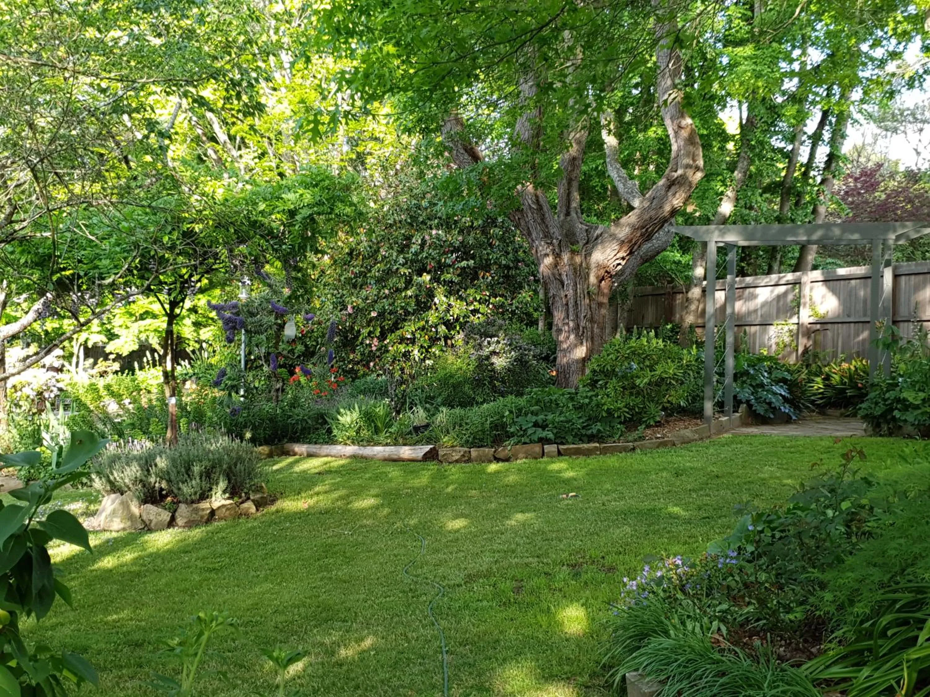 Garden in The Bundanoon Guest House