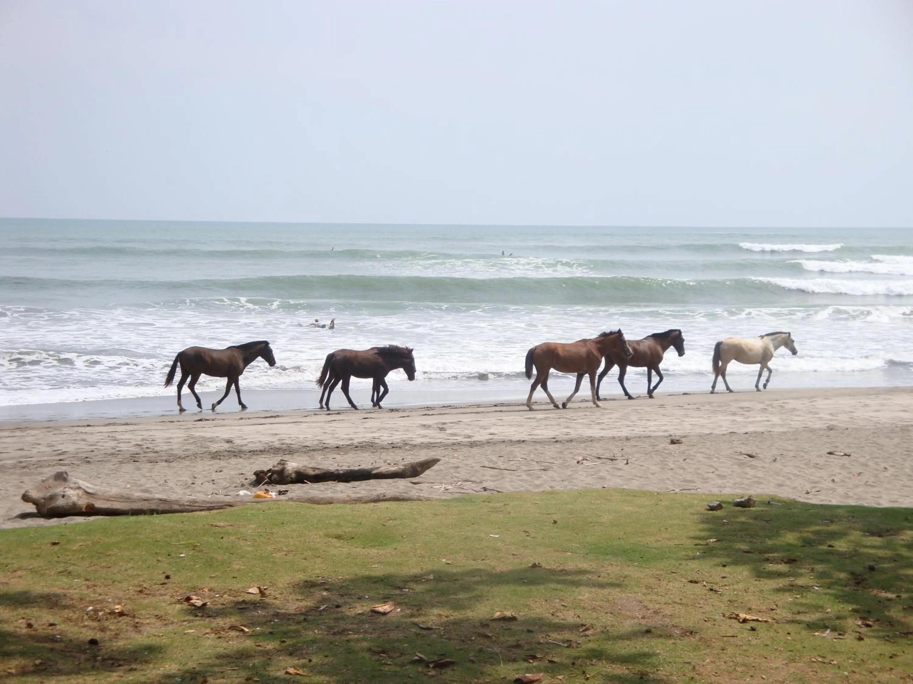 Natural landscape in La Dolce Vita